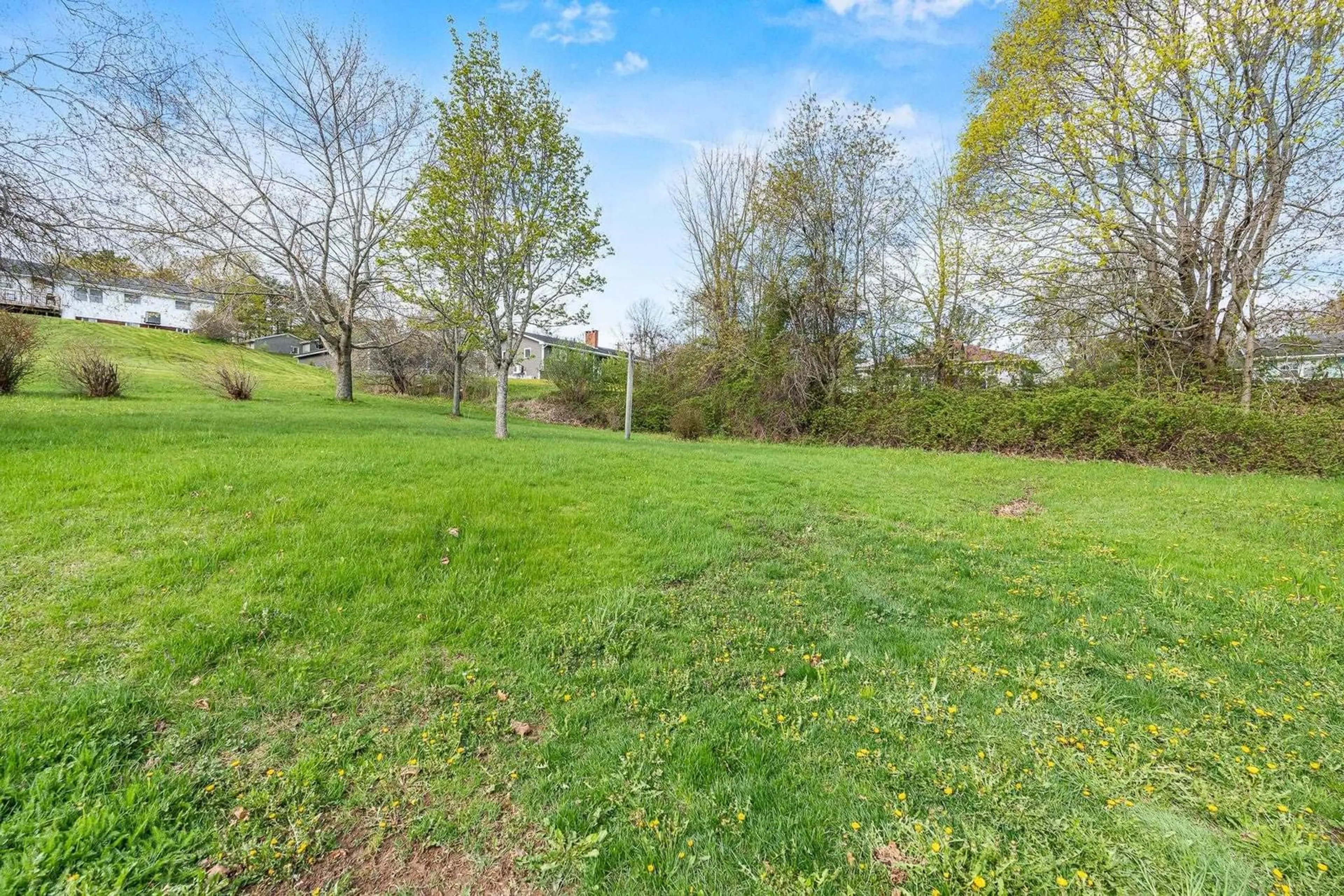 A pic from outside/outdoor area/front of a property/back of a property/a pic from drone, forest/trees view for 1802 King Street, Windsor Nova Scotia B0N 2T0