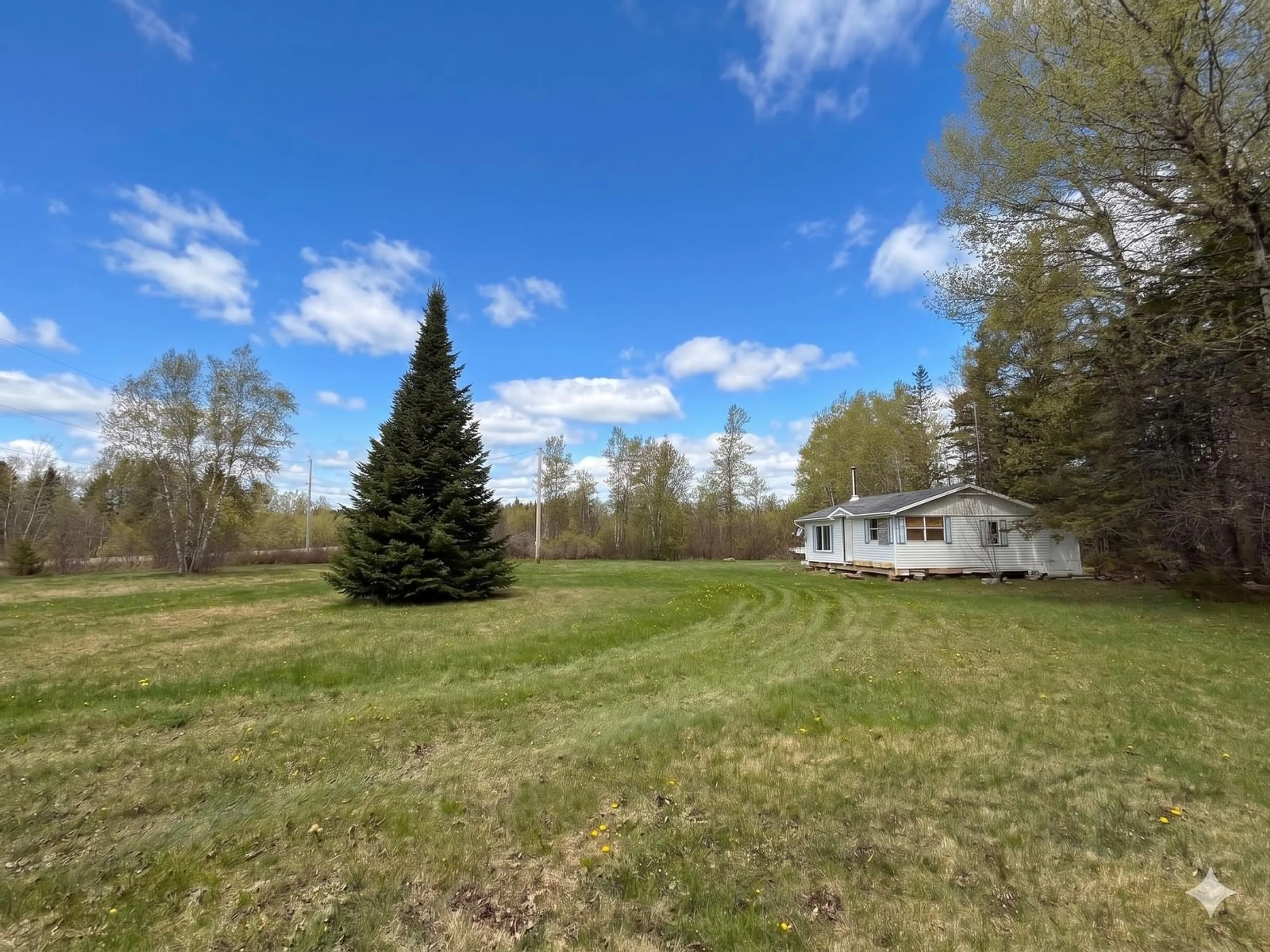A pic from outside/outdoor area/front of a property/back of a property/a pic from drone, forest/trees view for 743 Chapman Settlement Rd, Chapman Settlement Nova Scotia B0L 1E0