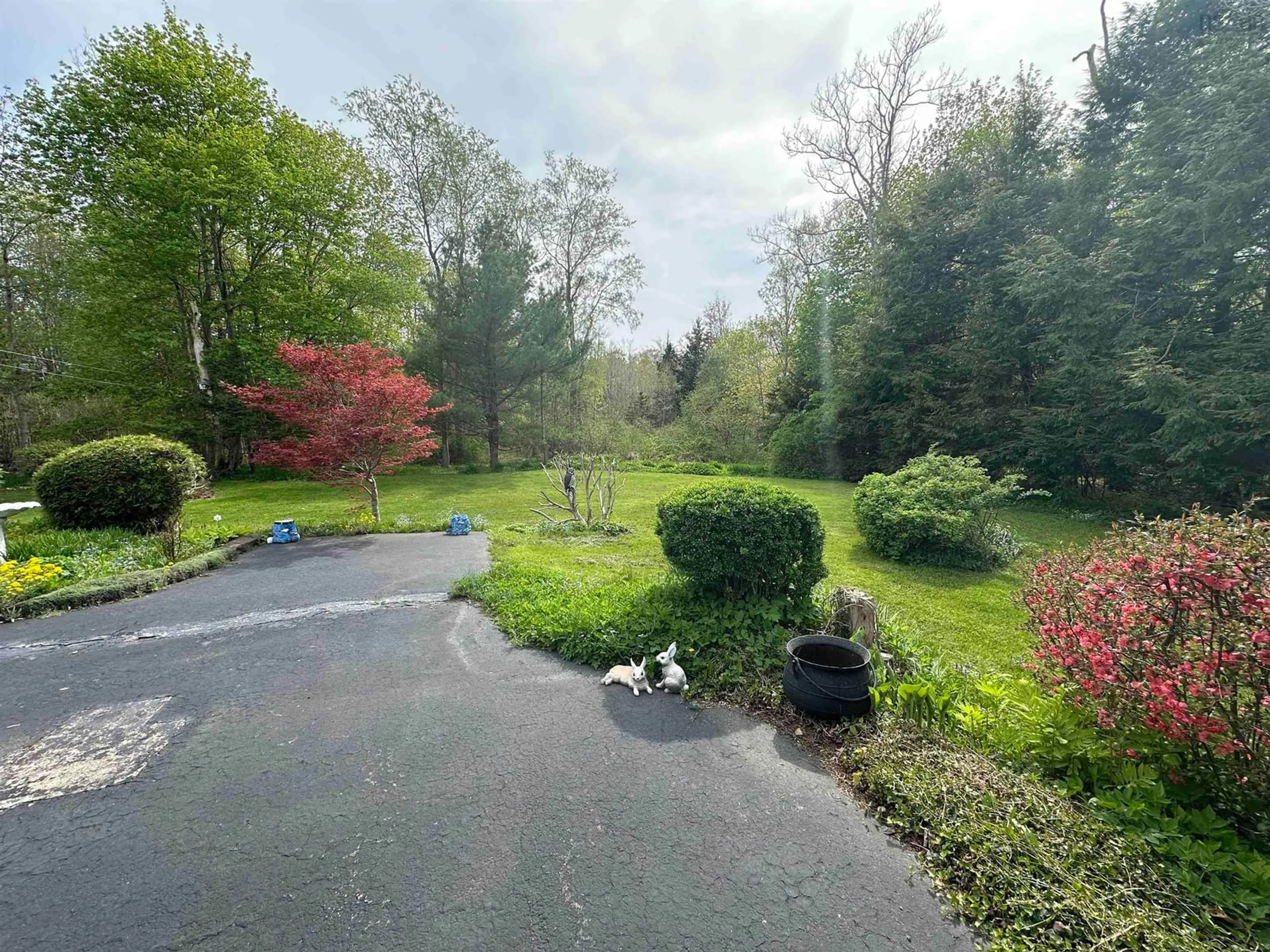 A pic from outside/outdoor area/front of a property/back of a property/a pic from drone, forest/trees view for 166 School St, Liverpool Nova Scotia B0T 1K0