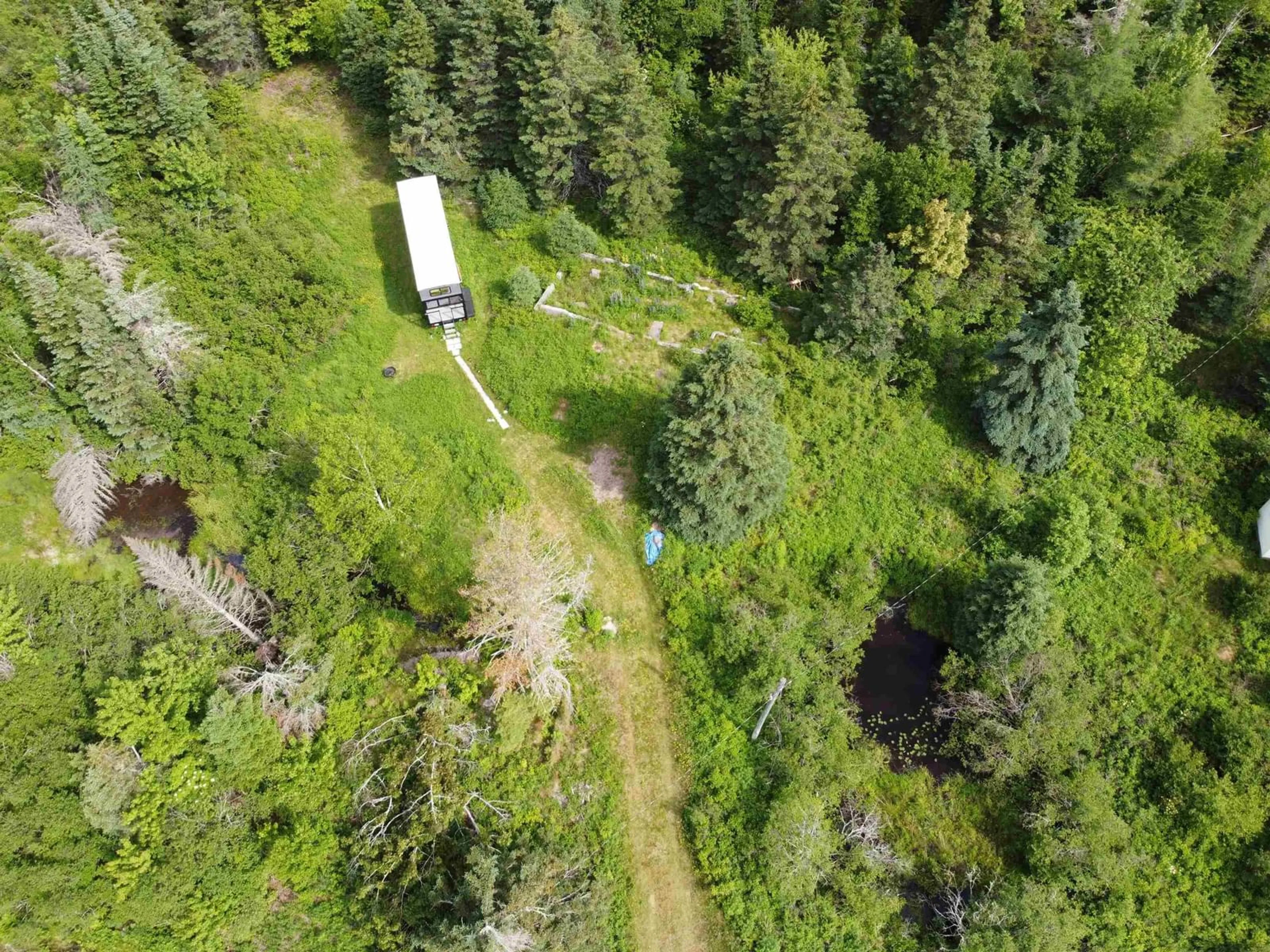 A pic from outside/outdoor area/front of a property/back of a property/a pic from drone, forest/trees view for 24 Englehutt Rd, Moser River Nova Scotia B0J 2R0