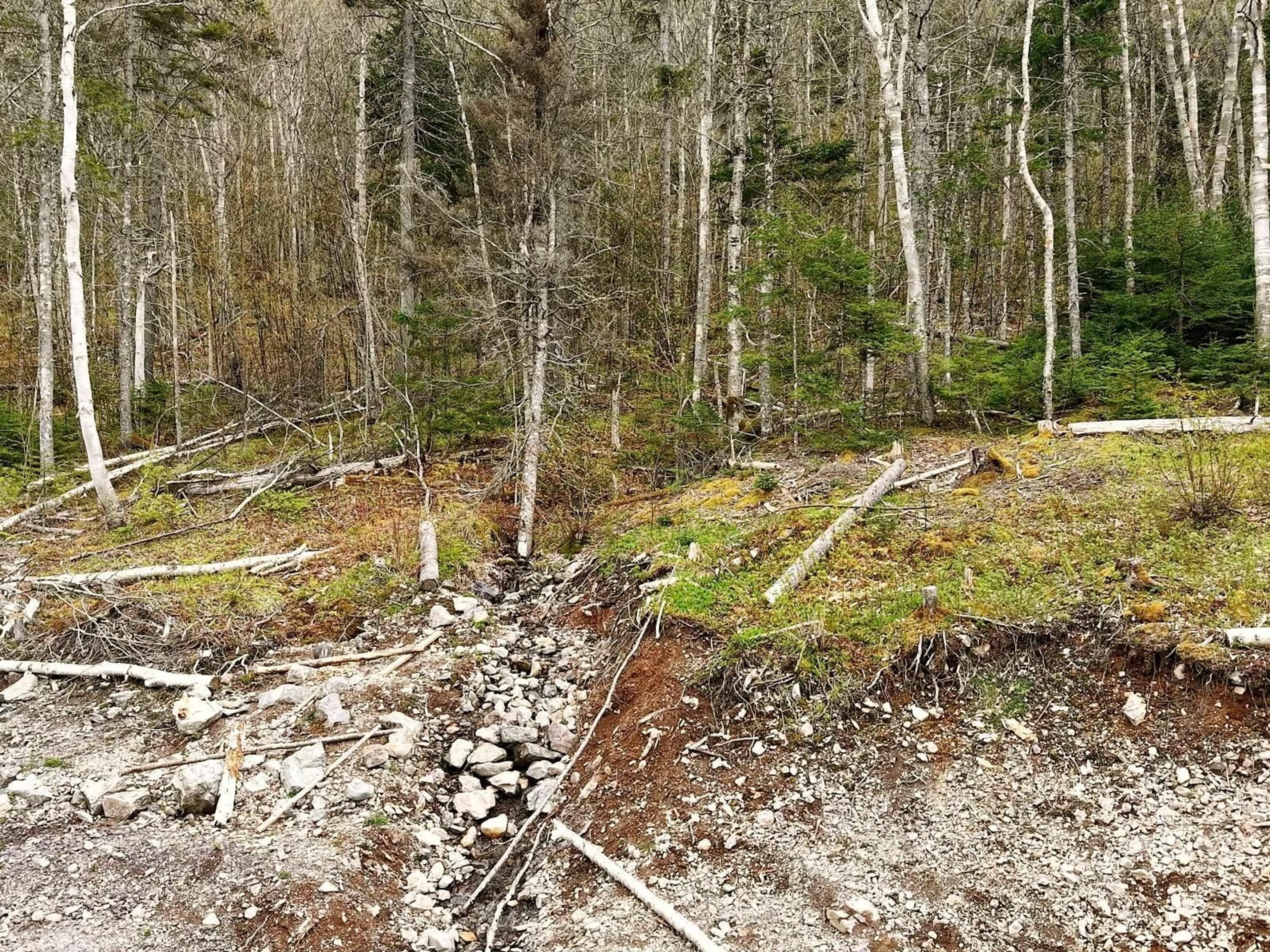 A pic from outside/outdoor area/front of a property/back of a property/a pic from drone, forest/trees view for 6711 East Bay Hwy, Big Pond Nova Scotia B1J 0B7