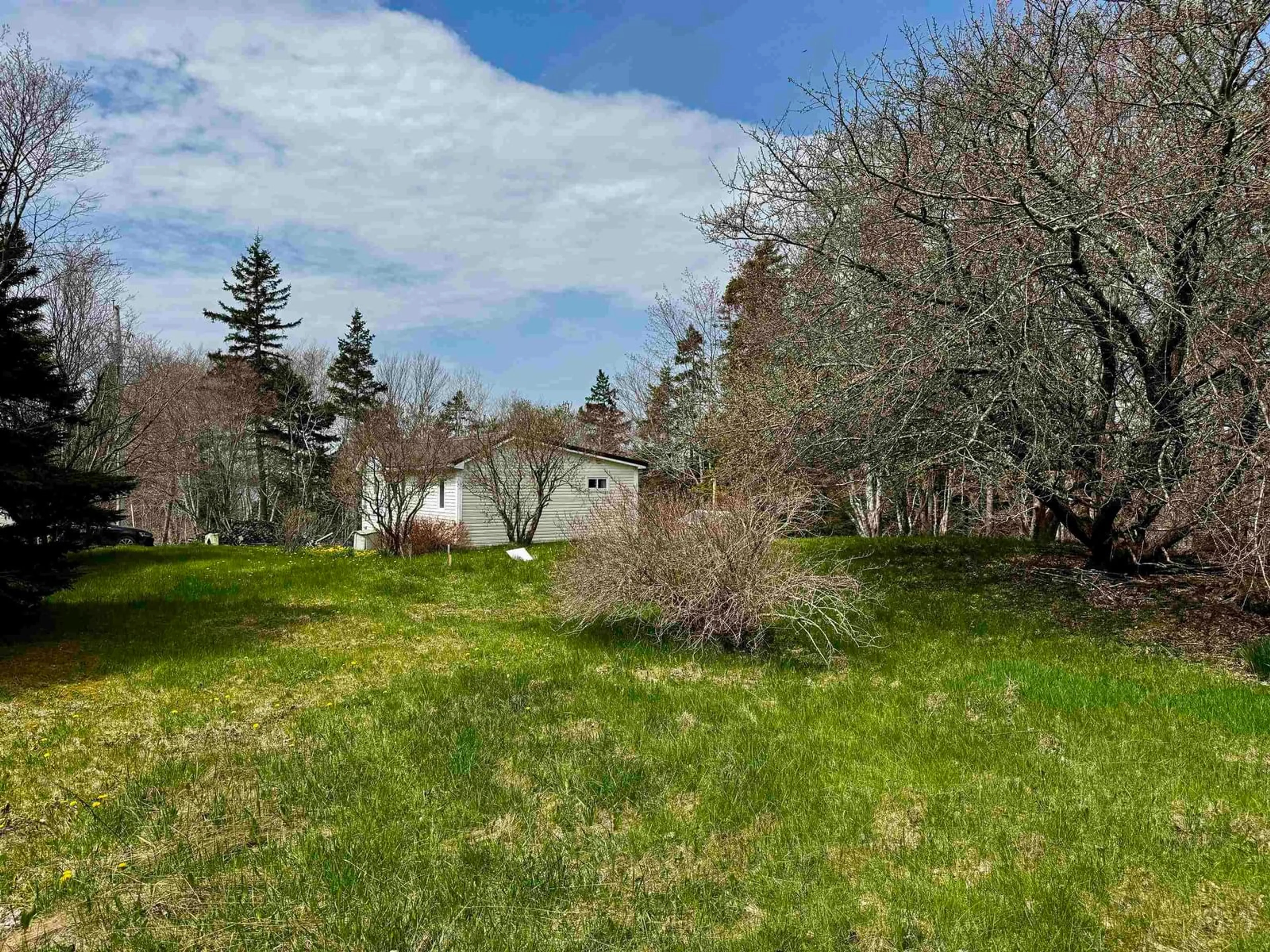 A pic from outside/outdoor area/front of a property/back of a property/a pic from drone, forest/trees view for 499 Corbetts Cove Rd., Corbetts Cove Nova Scotia B0E 3B0