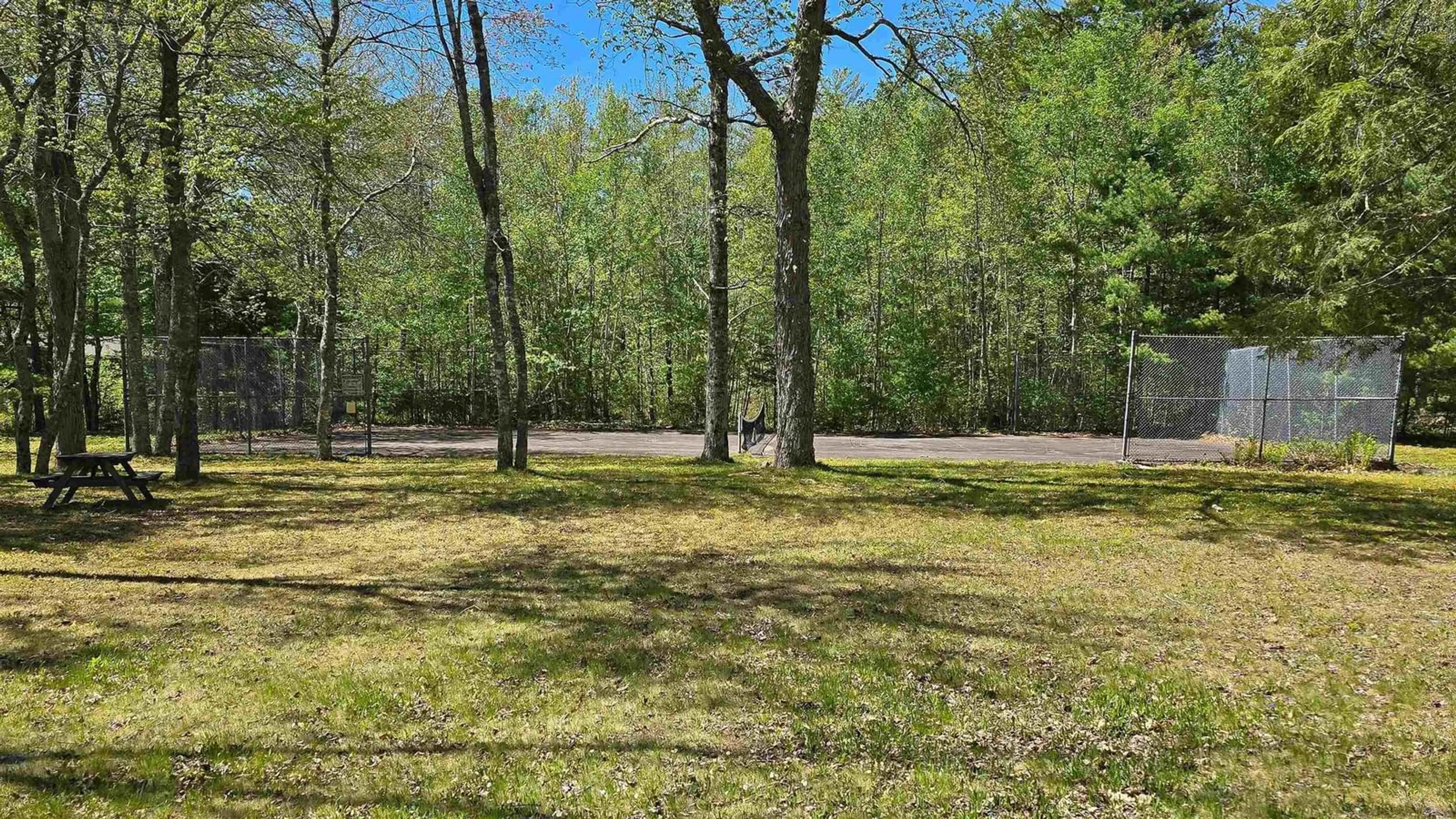 A pic from outside/outdoor area/front of a property/back of a property/a pic from drone, forest/trees view for 7 Lakeview Rd, Hemford Nova Scotia B0R 1E0