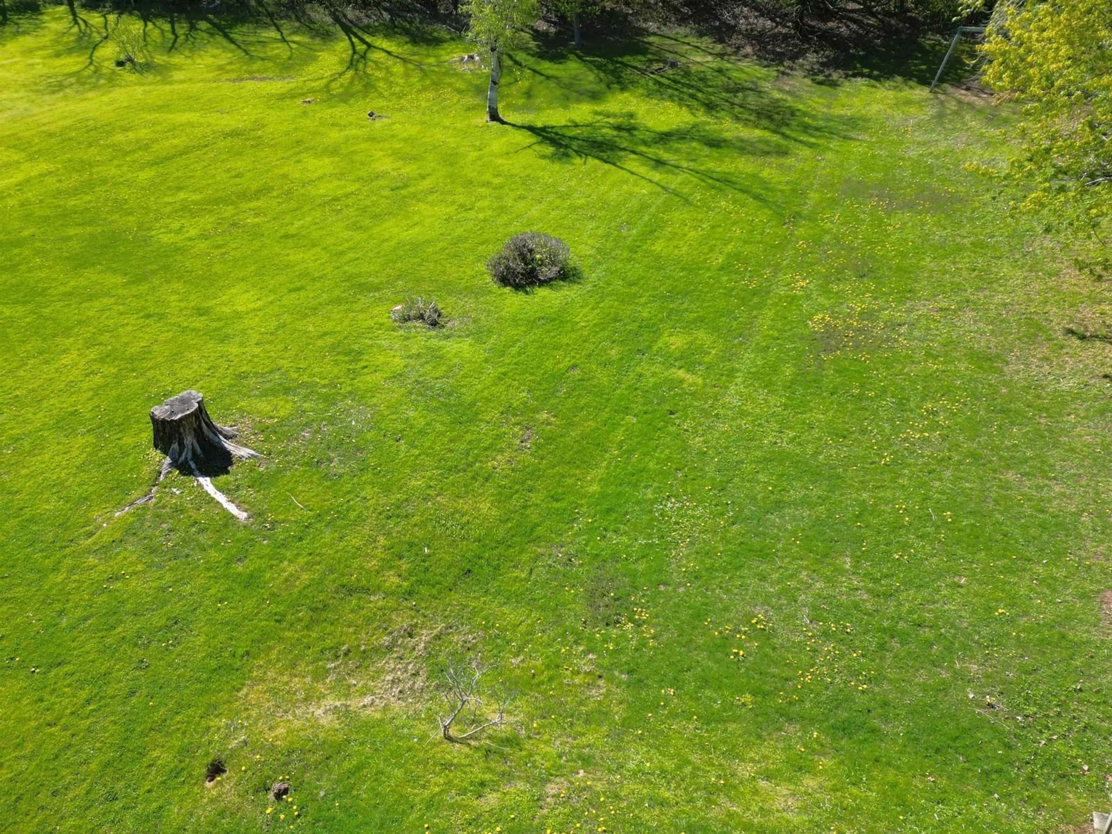 A pic from outside/outdoor area/front of a property/back of a property/a pic from drone, forest/trees view for 31 Cottage St, Pictou Nova Scotia B0K 1H0