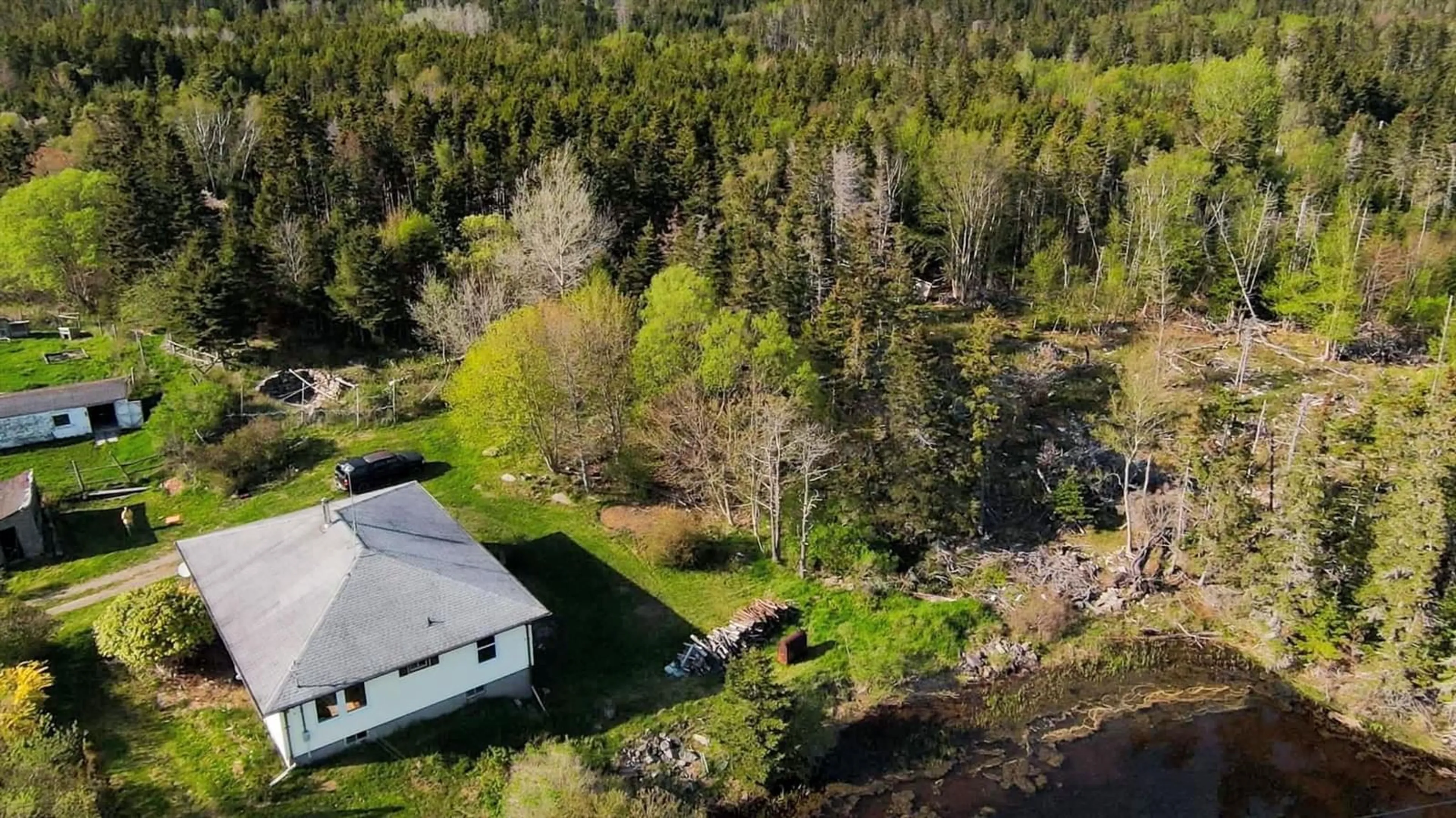 A pic from outside/outdoor area/front of a property/back of a property/a pic from drone, forest/trees view for 149 South East Cove Rd, Big Tancook Island Nova Scotia B0J 3G0
