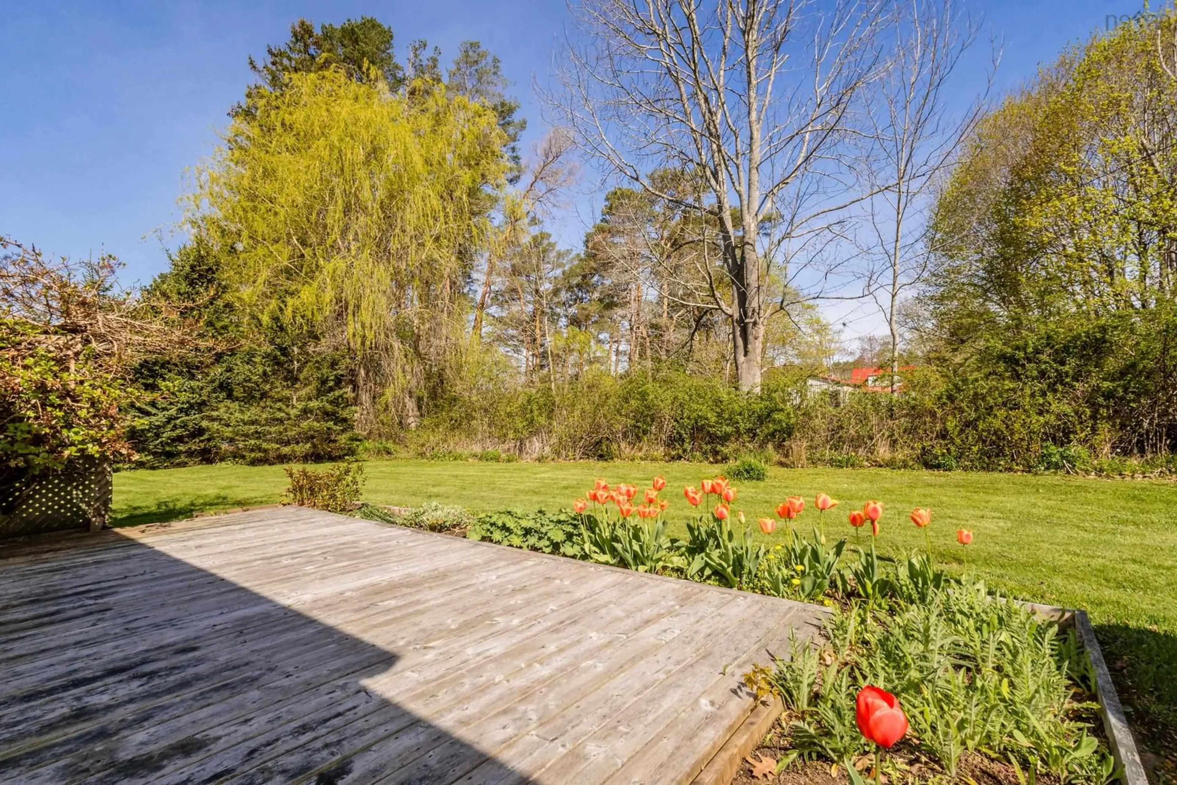 Patio, forest/trees view for 206 Centennial Dr, Bridgetown Nova Scotia B0S 1C0