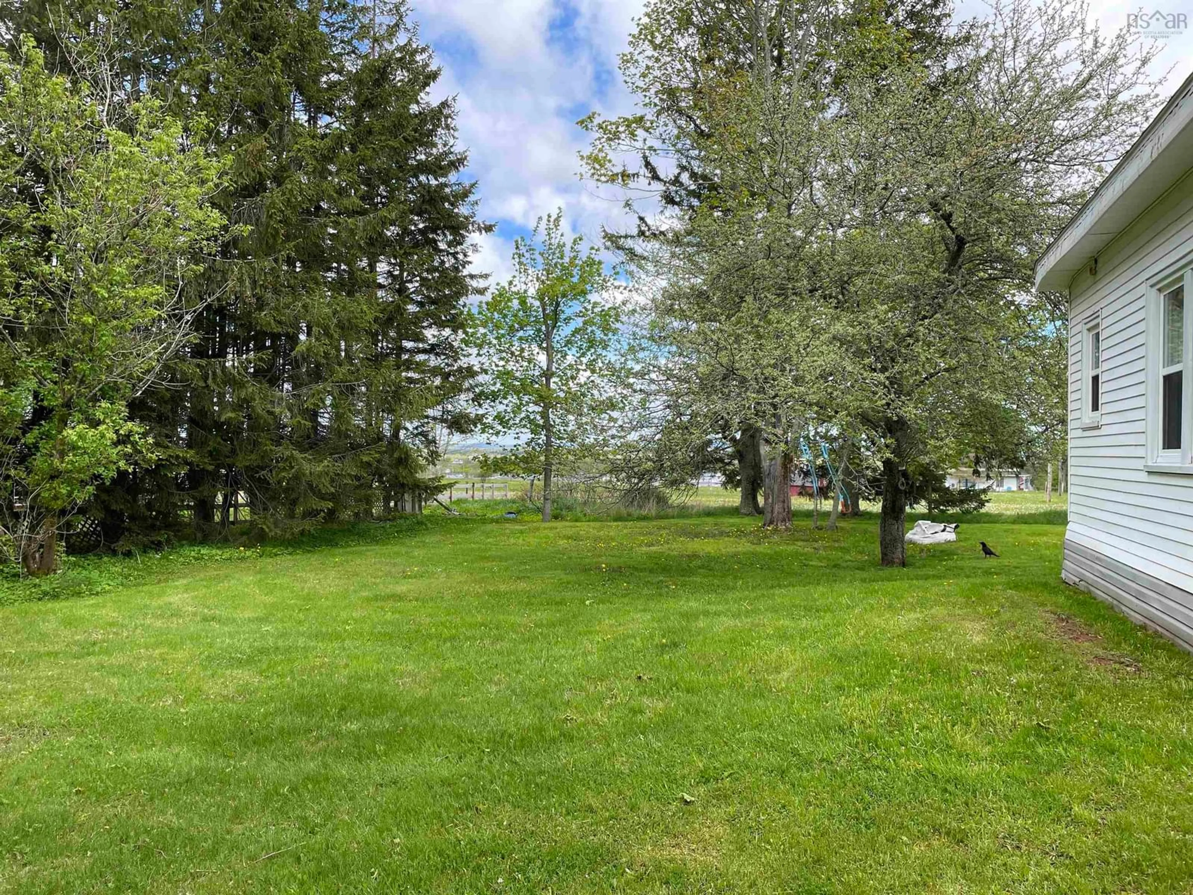 A pic from outside/outdoor area/front of a property/back of a property/a pic from drone, forest/trees view for 165 Ryland Ave, Bible Hill Nova Scotia B2N 2V5