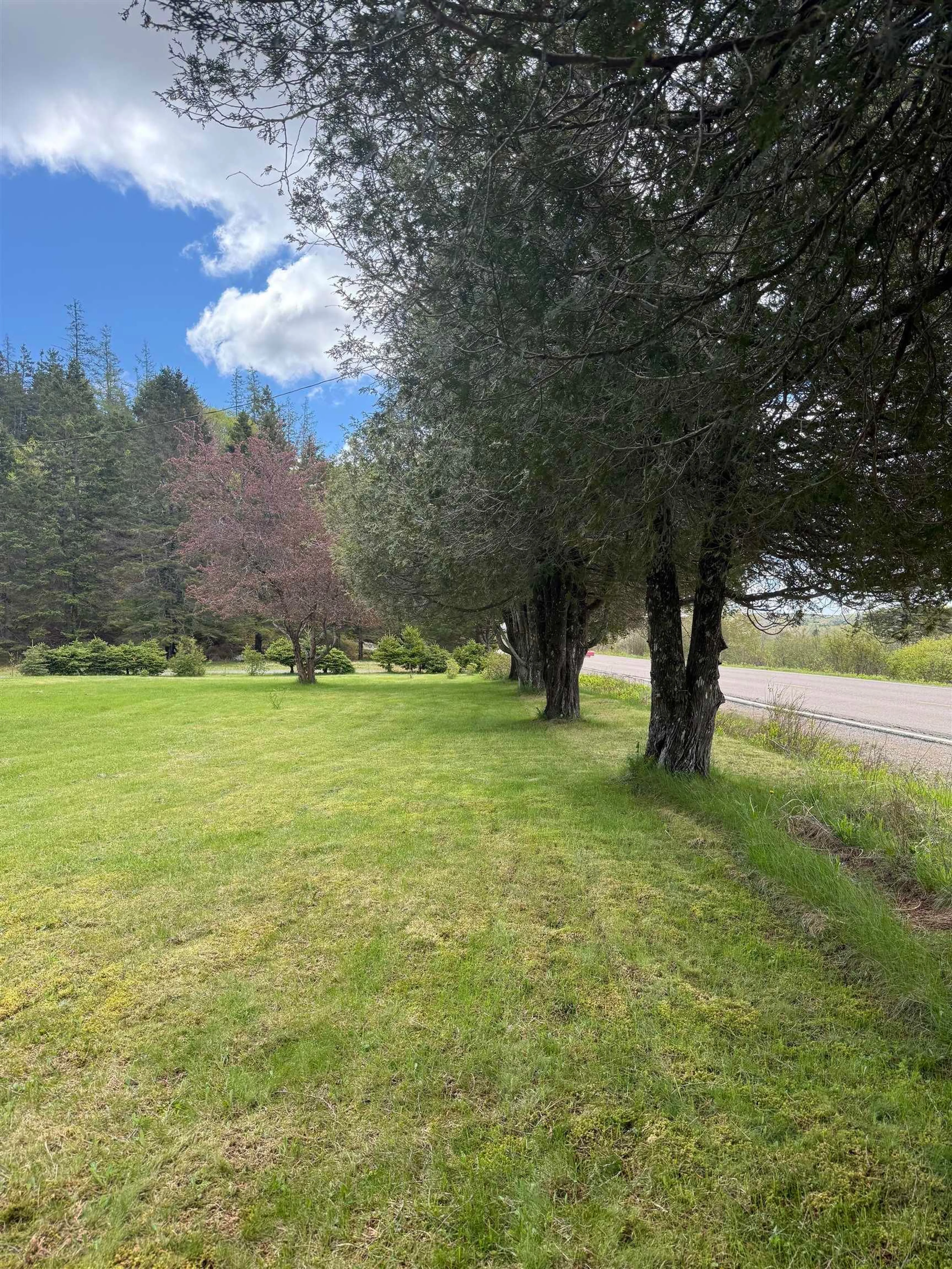 A pic from outside/outdoor area/front of a property/back of a property/a pic from drone, forest/trees view for 9544 7 Hwy, Stillwater Nova Scotia B0J 3C0