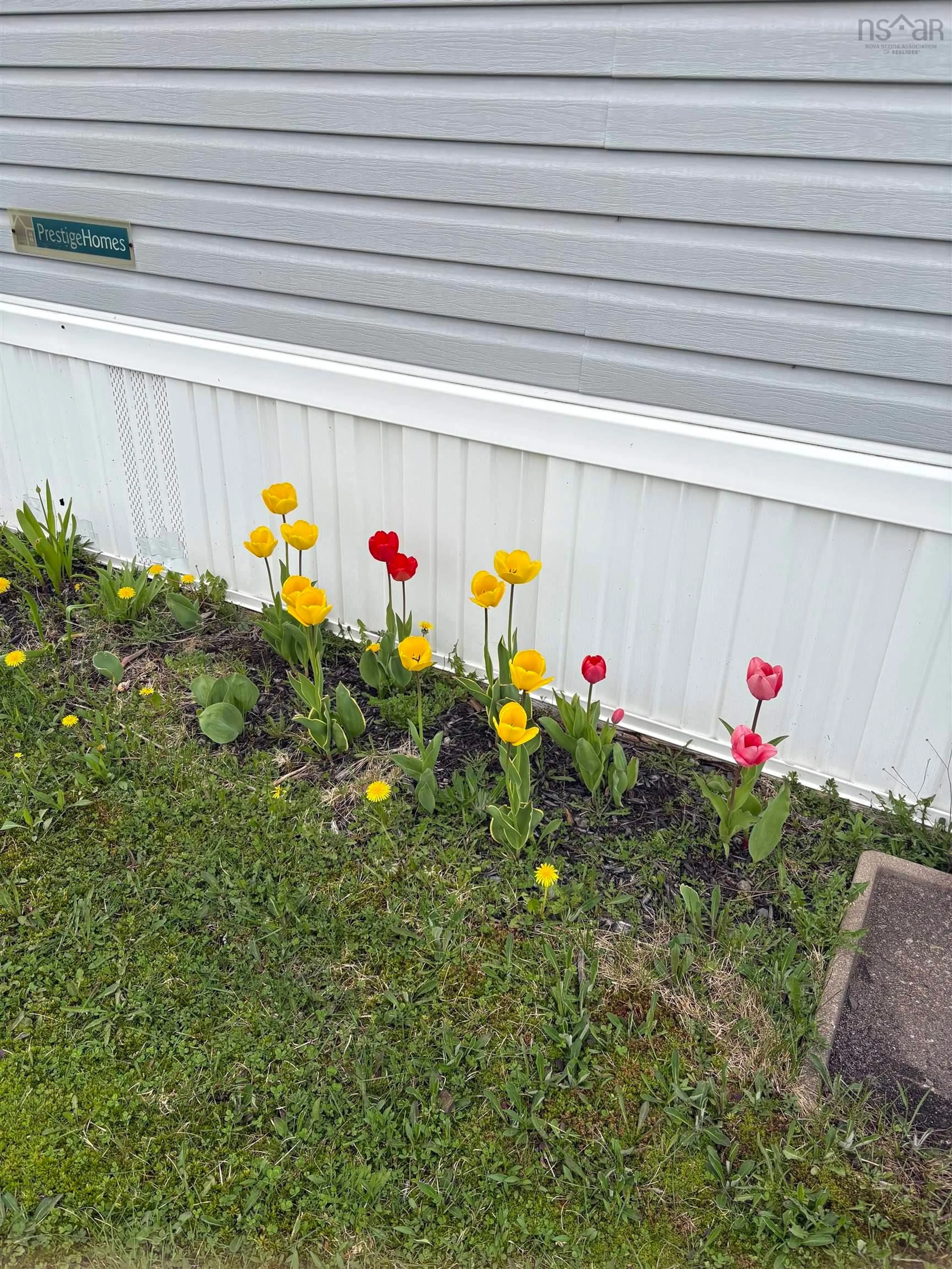 Patio, street for 10 Springvale Drive   B2g 2v9, Antigonish Nova Scotia B2G 2V9
