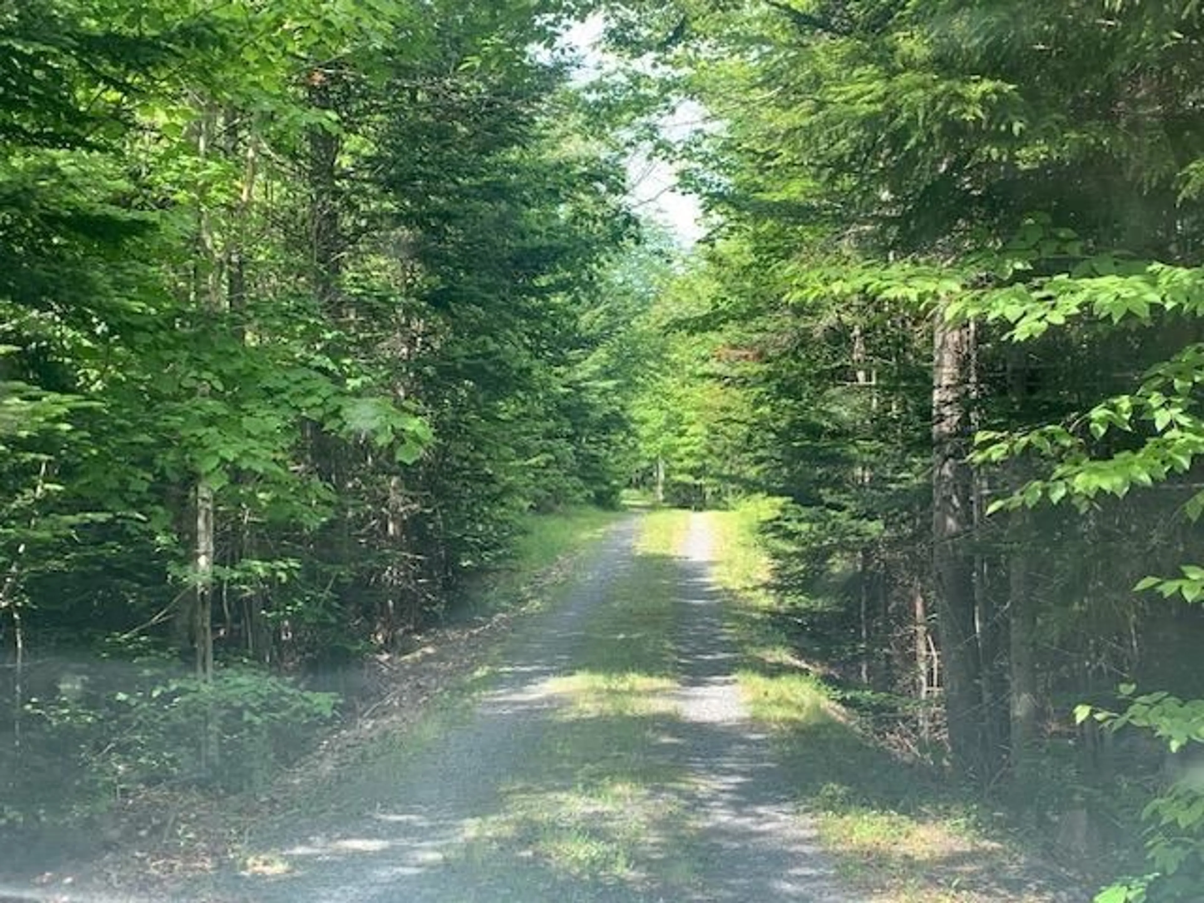 Blurry image for 879 Sarsfield Road, Chipman Brook Nova Scotia B0P 1V0
