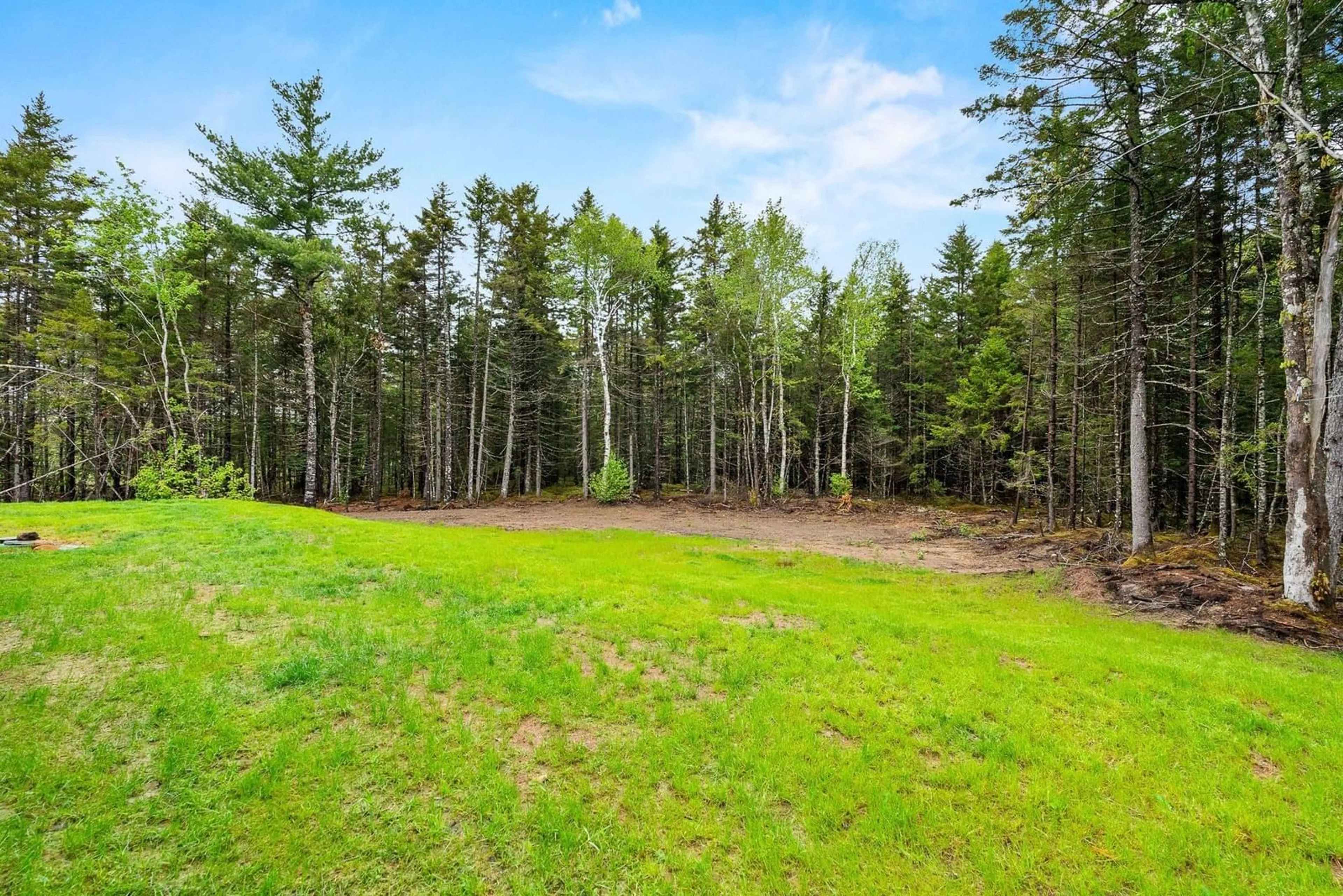 A pic from outside/outdoor area/front of a property/back of a property/a pic from drone, forest/trees view for 971 Barr Settlement Rd, Barr Settlement Nova Scotia B2S 3G5