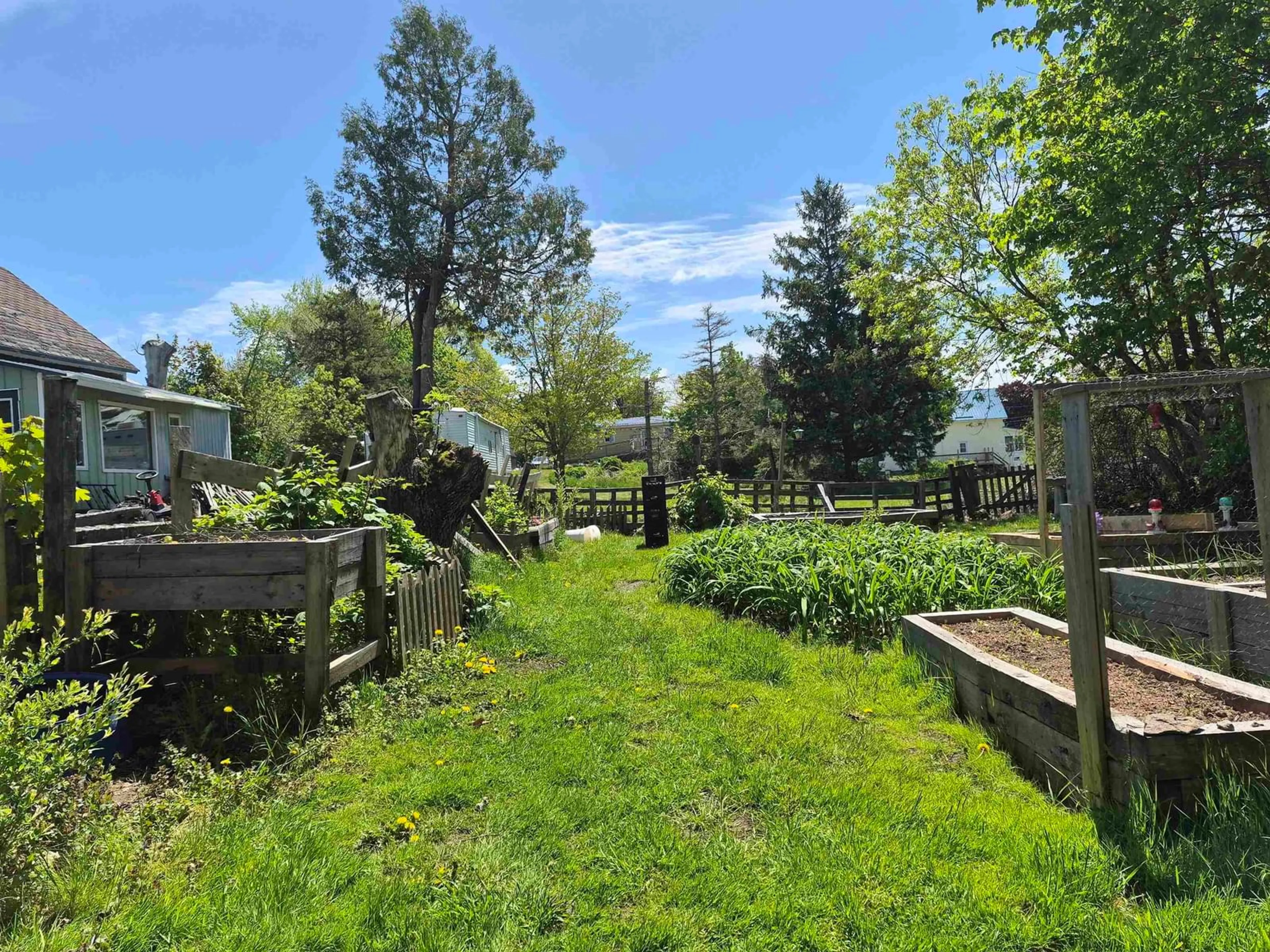 A pic from outside/outdoor area/front of a property/back of a property/a pic from drone, forest/trees view for 121 Main St, Springhill Nova Scotia B0M 1X0