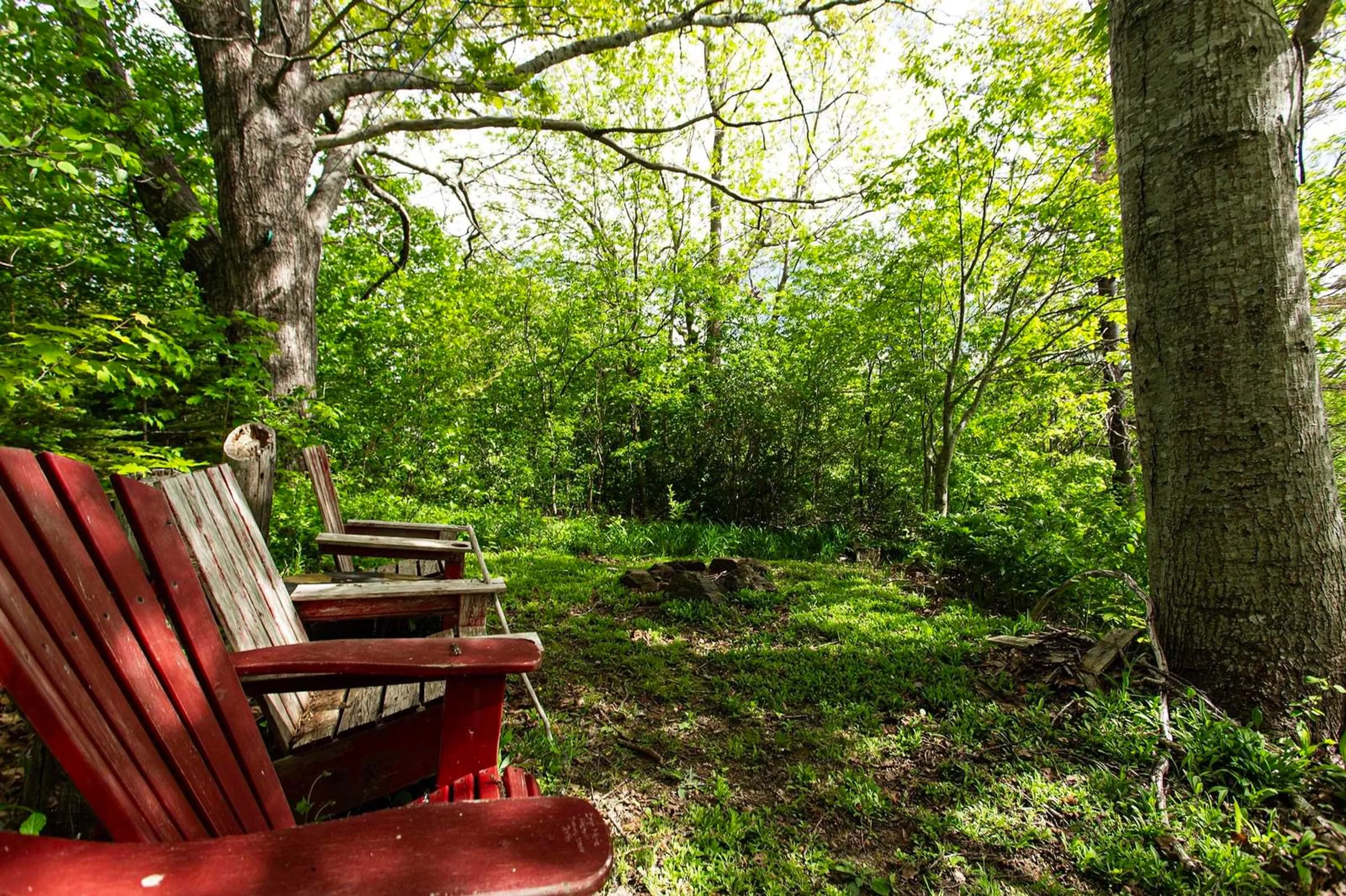 Patio, forest/trees view for 14 Cross St, Bear River Nova Scotia B0S 1B0