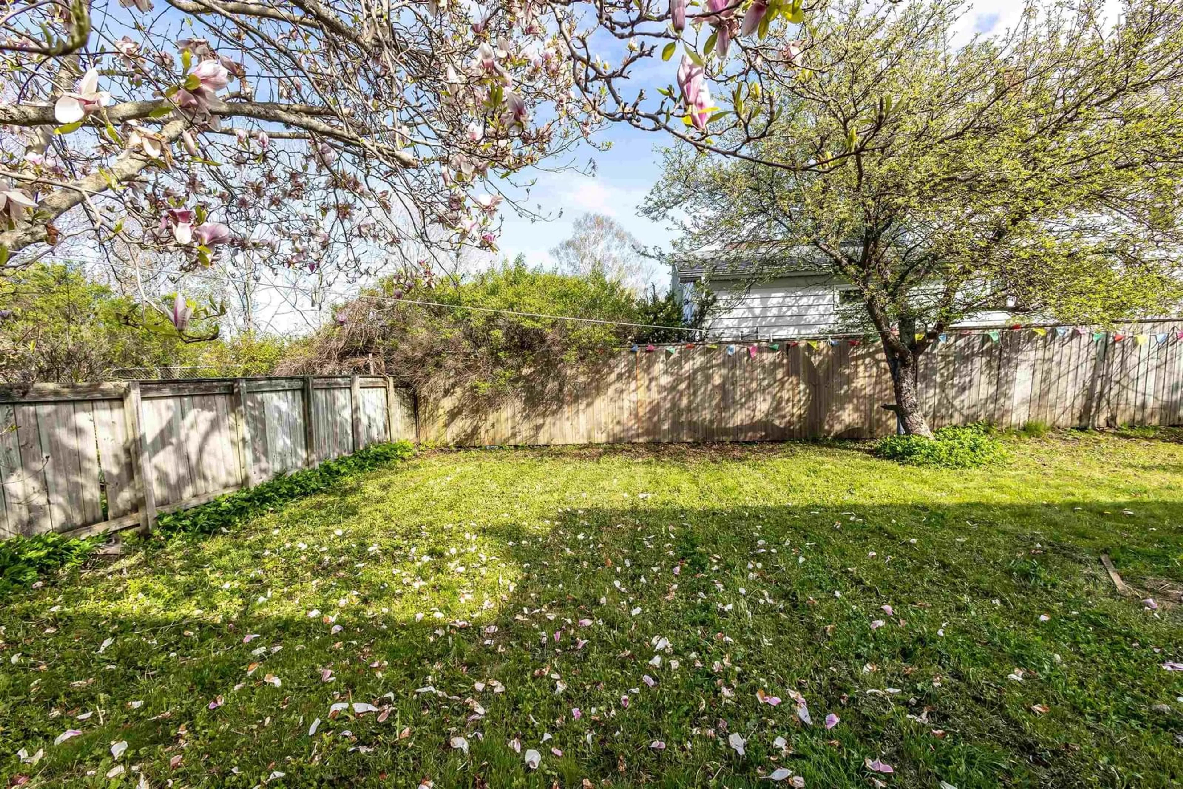 Patio, forest/trees view for 71 Richardson Ave, Sydney Nova Scotia B1S 2Z3