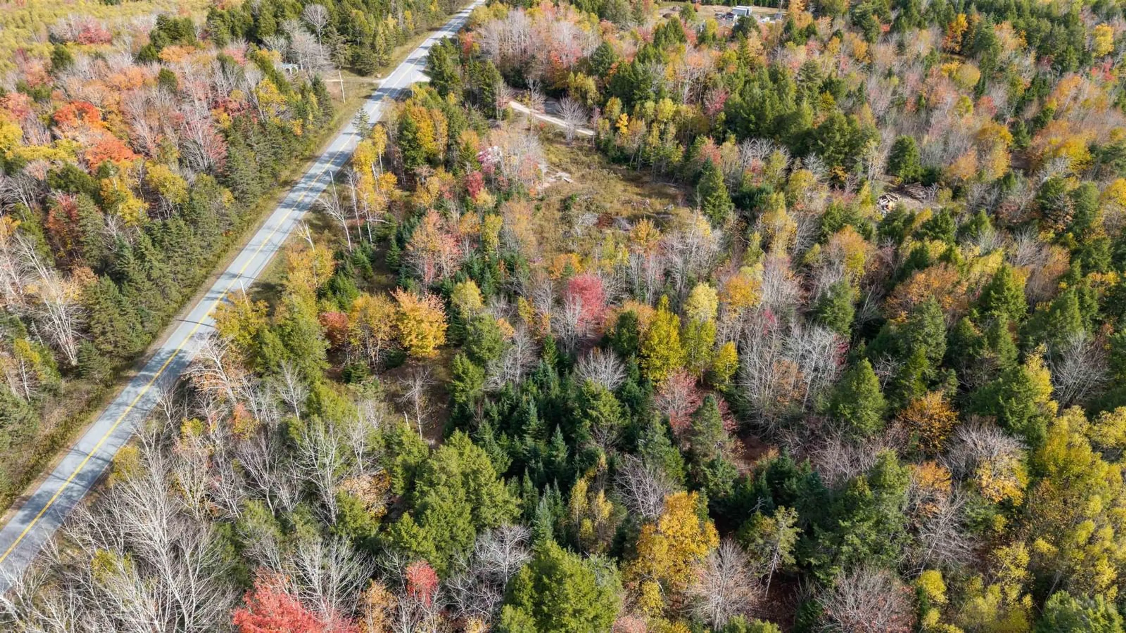 A pic from outside/outdoor area/front of a property/back of a property/a pic from drone, forest/trees view for 539 Cooks Brook Road, Elderbank Nova Scotia B0N 1X0