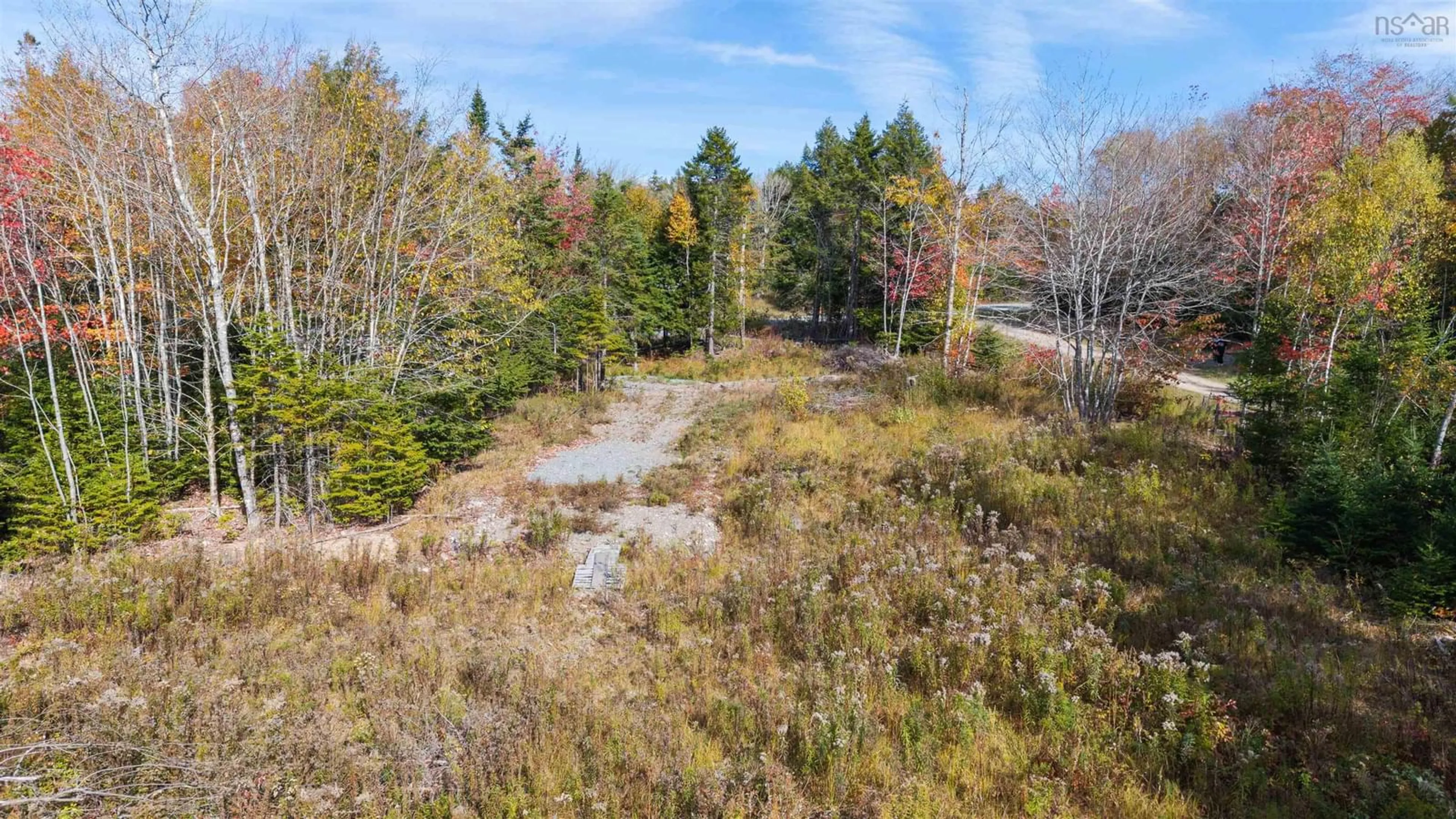 A pic from outside/outdoor area/front of a property/back of a property/a pic from drone, forest/trees view for 539 Cooks Brook Road, Elderbank Nova Scotia B0N 1X0