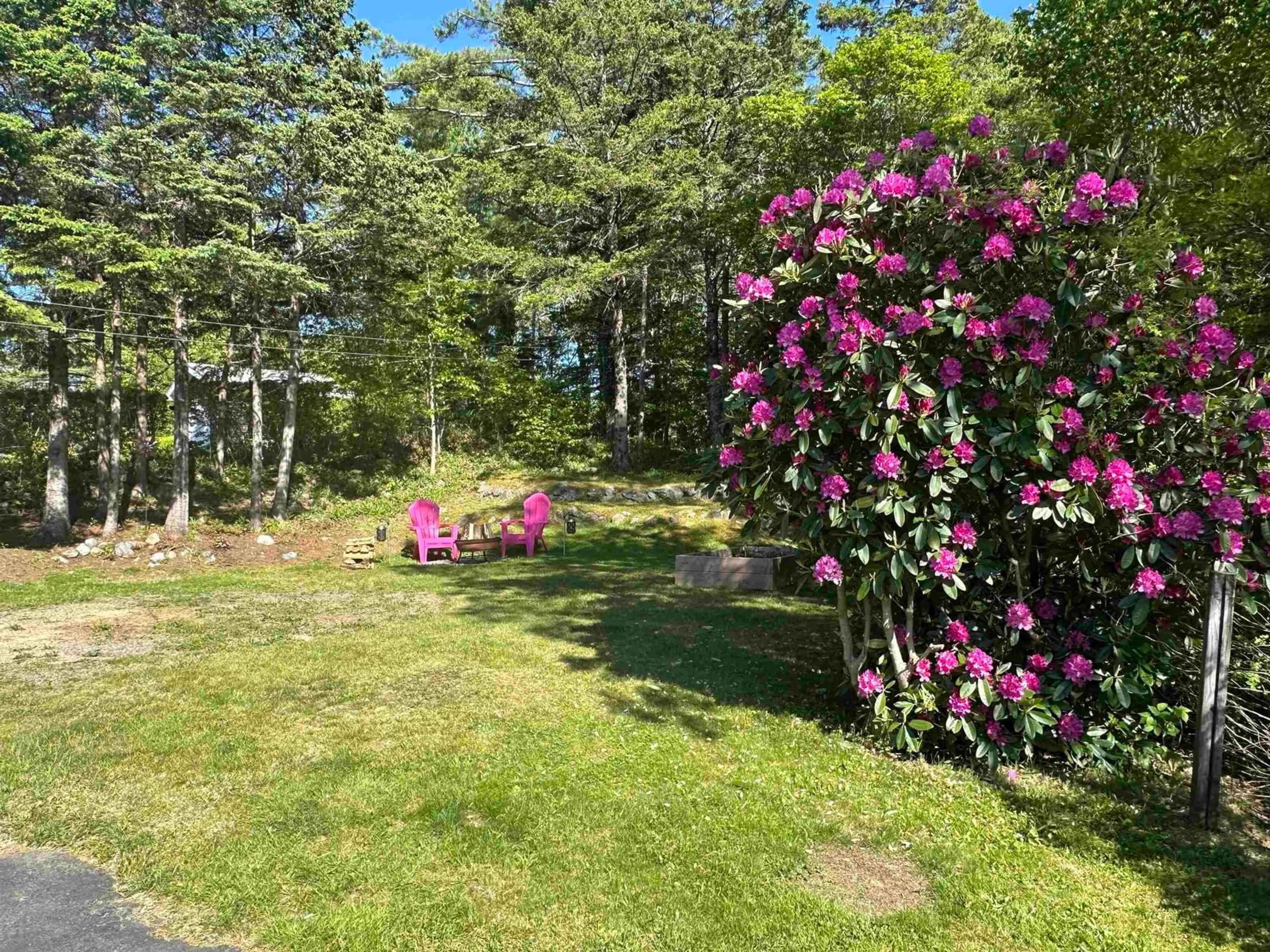 A pic from outside/outdoor area/front of a property/back of a property/a pic from drone, forest/trees view for 39 Barss St, Liverpool Nova Scotia B0T 1K0