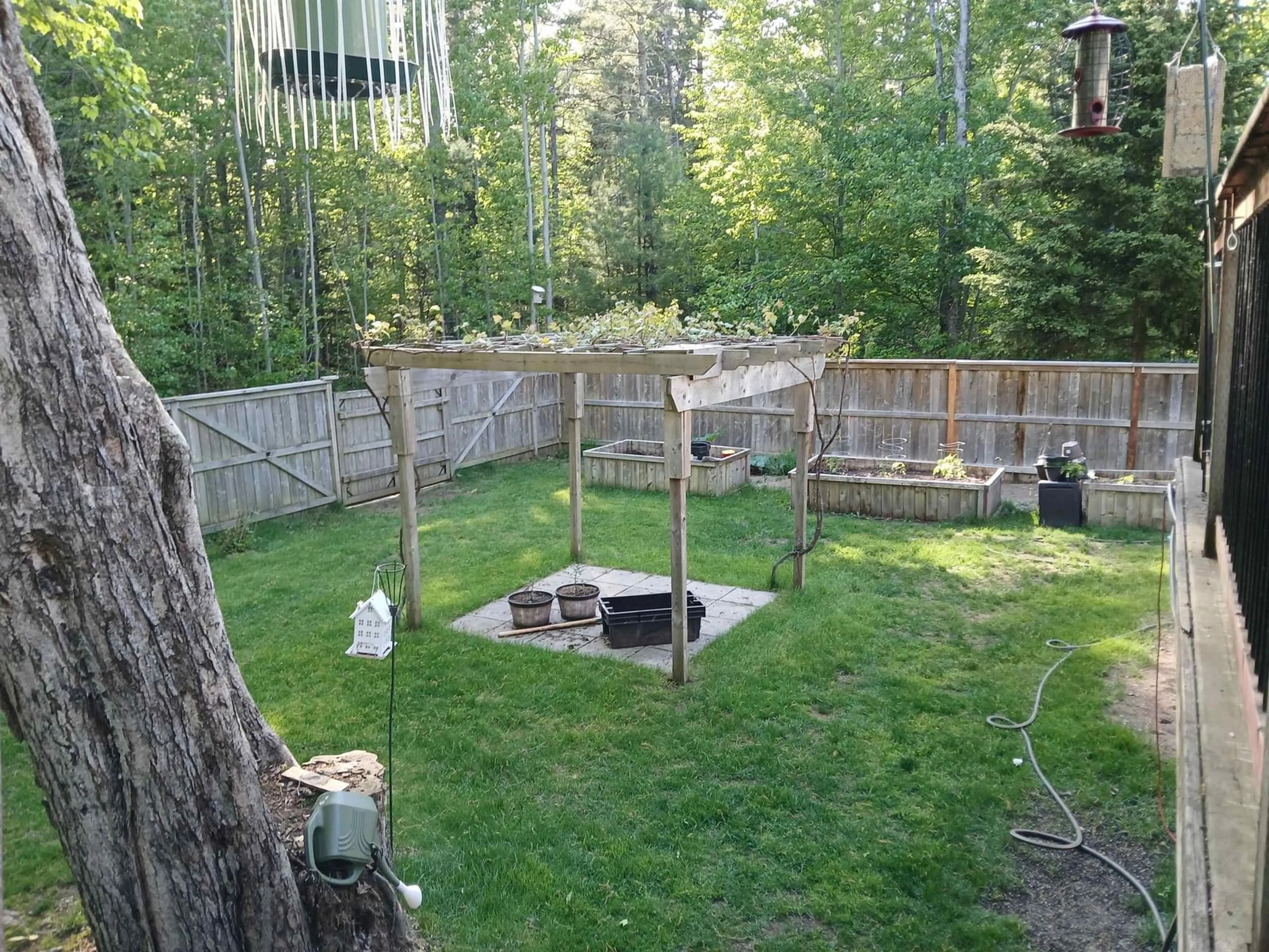 Patio, forest/trees view for 38 Robie Ave, Greenwood Nova Scotia B0P 1R0