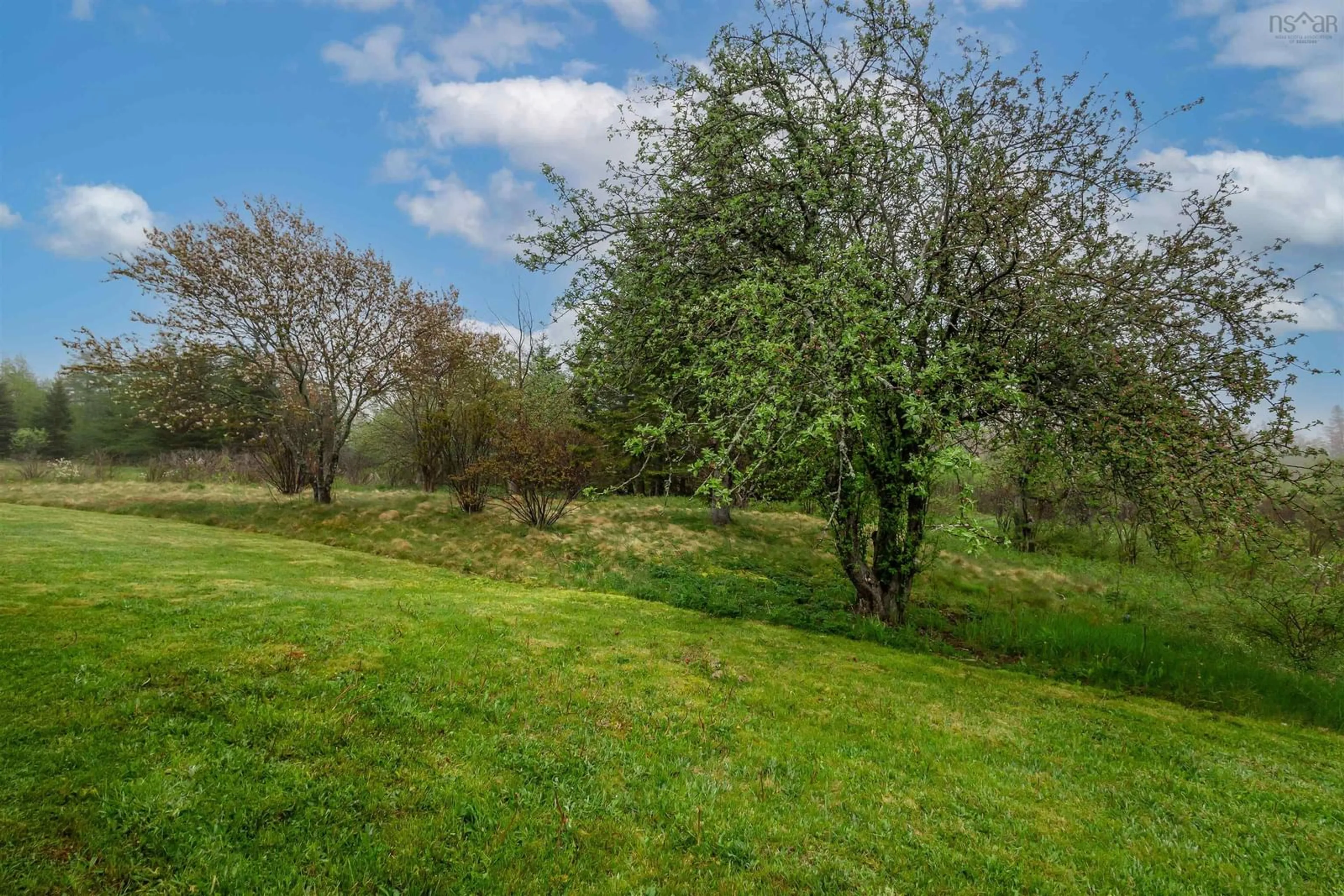 A pic from outside/outdoor area/front of a property/back of a property/a pic from drone, forest/trees view for Thomas Avenue Sydney Ns #30, Mira Road Nova Scotia B1P 3G2
