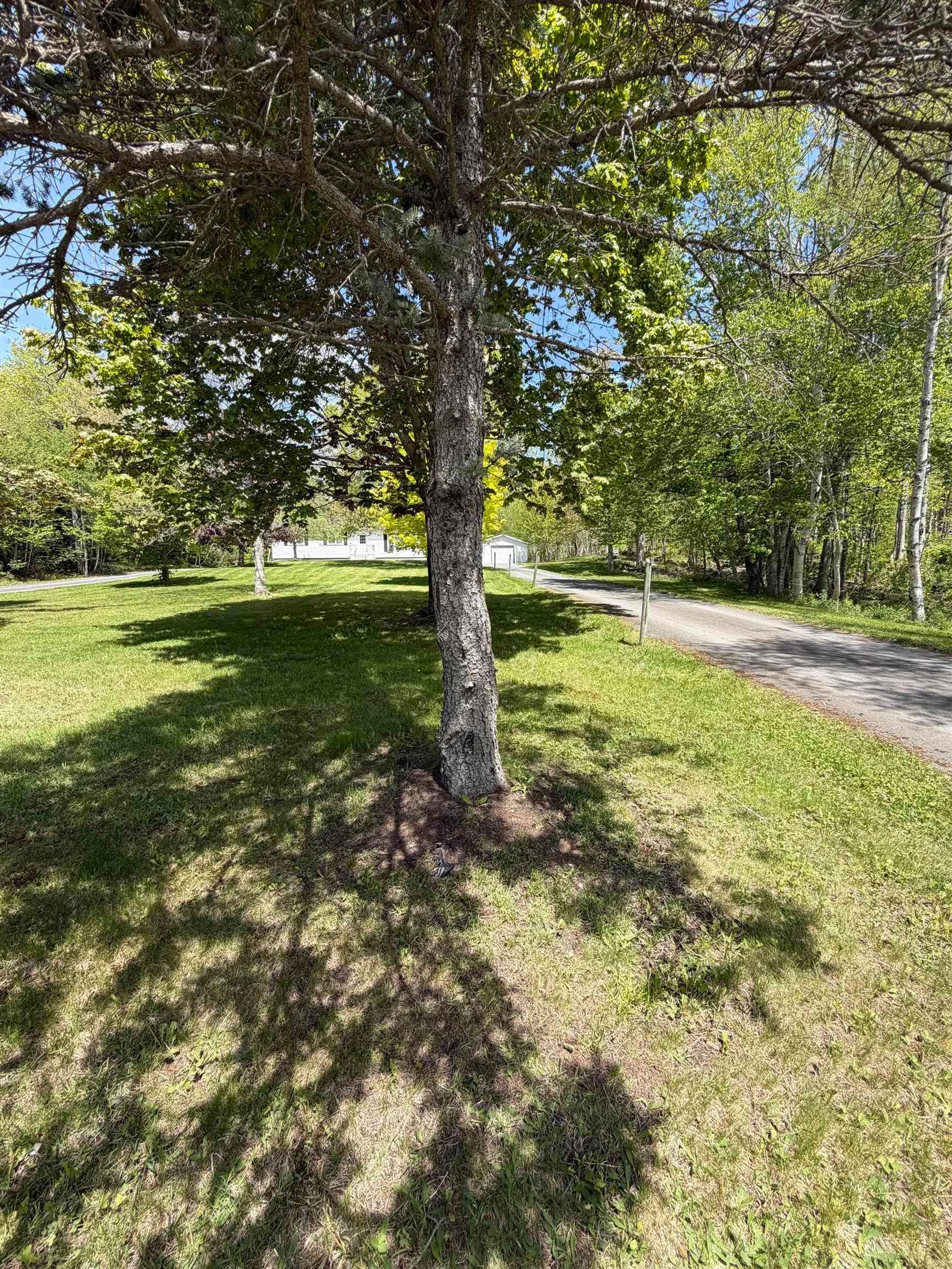 A pic from outside/outdoor area/front of a property/back of a property/a pic from drone, forest/trees view for 2547 Pleasant Valley Road, Maryvale Nova Scotia B2G 2K9