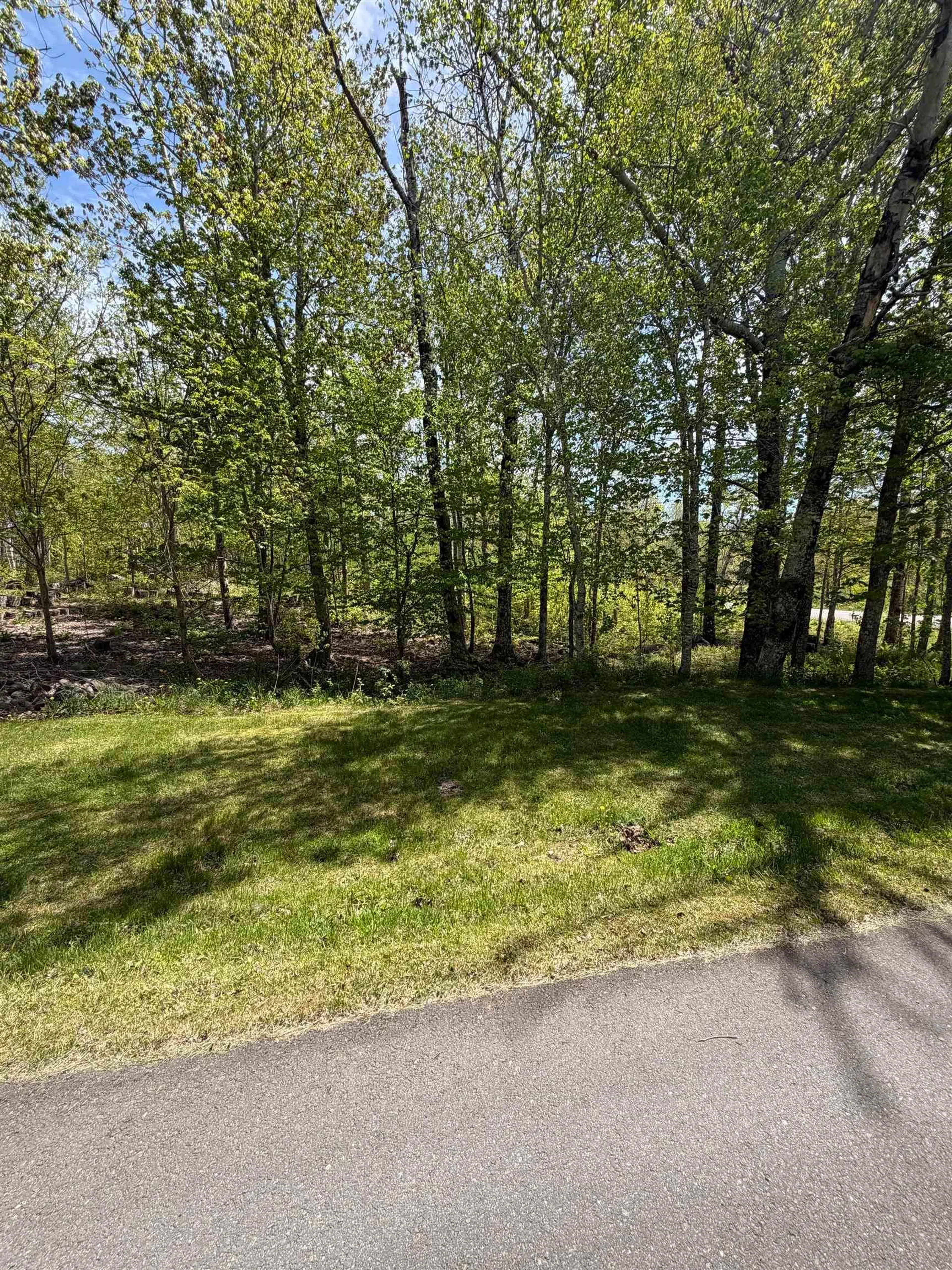 A pic from outside/outdoor area/front of a property/back of a property/a pic from drone, forest/trees view for 2547 Pleasant Valley Road, Maryvale Nova Scotia B2G 2K9