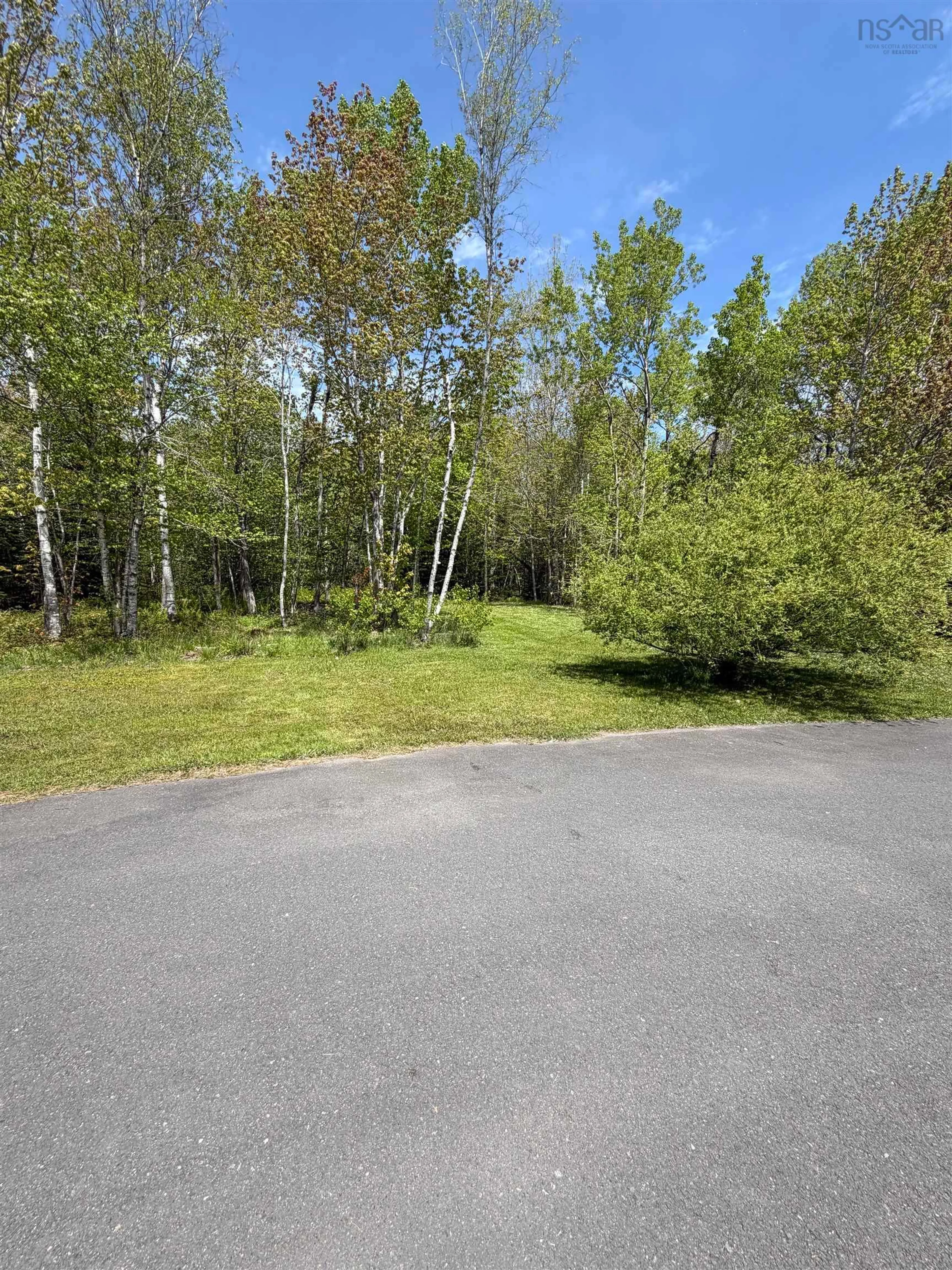 A pic from outside/outdoor area/front of a property/back of a property/a pic from drone, forest/trees view for 2547 Pleasant Valley Road, Maryvale Nova Scotia B2G 2K9