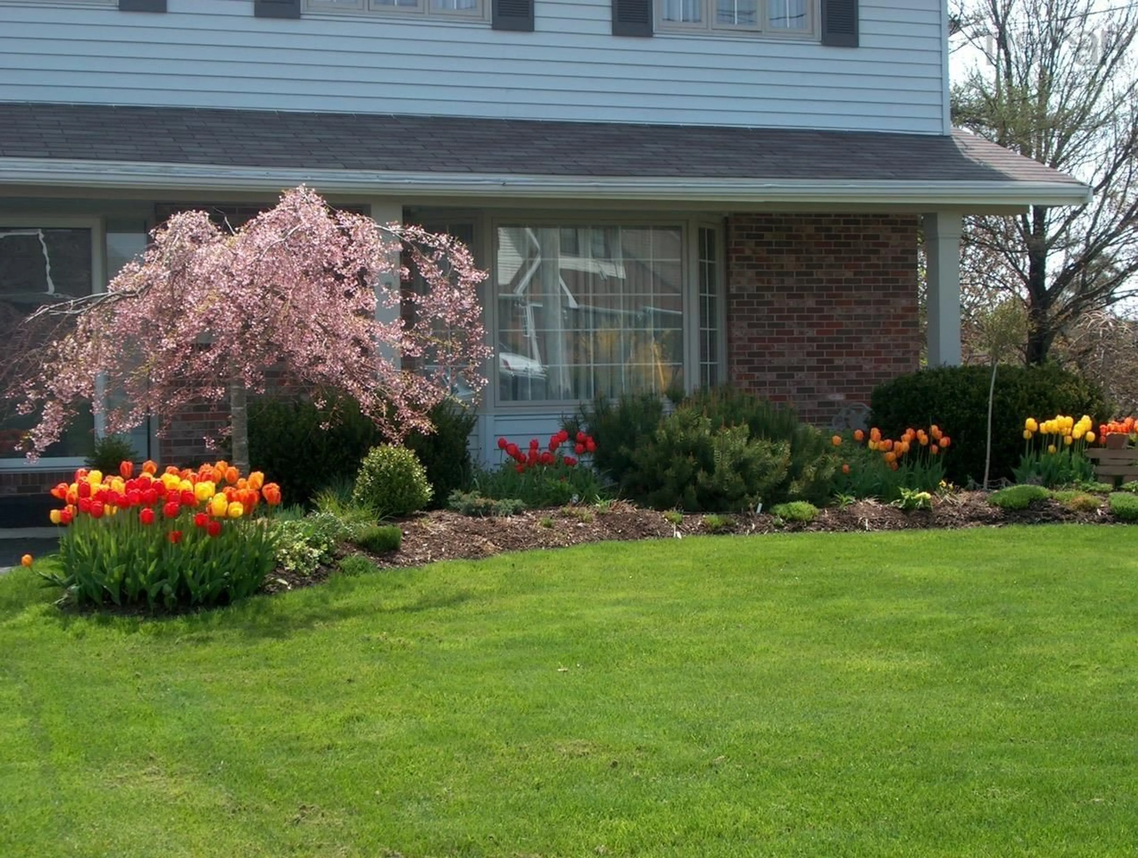 Home with vinyl exterior material, street for 155 Flagstone Dr, Colby Village Nova Scotia B2V 1Z7