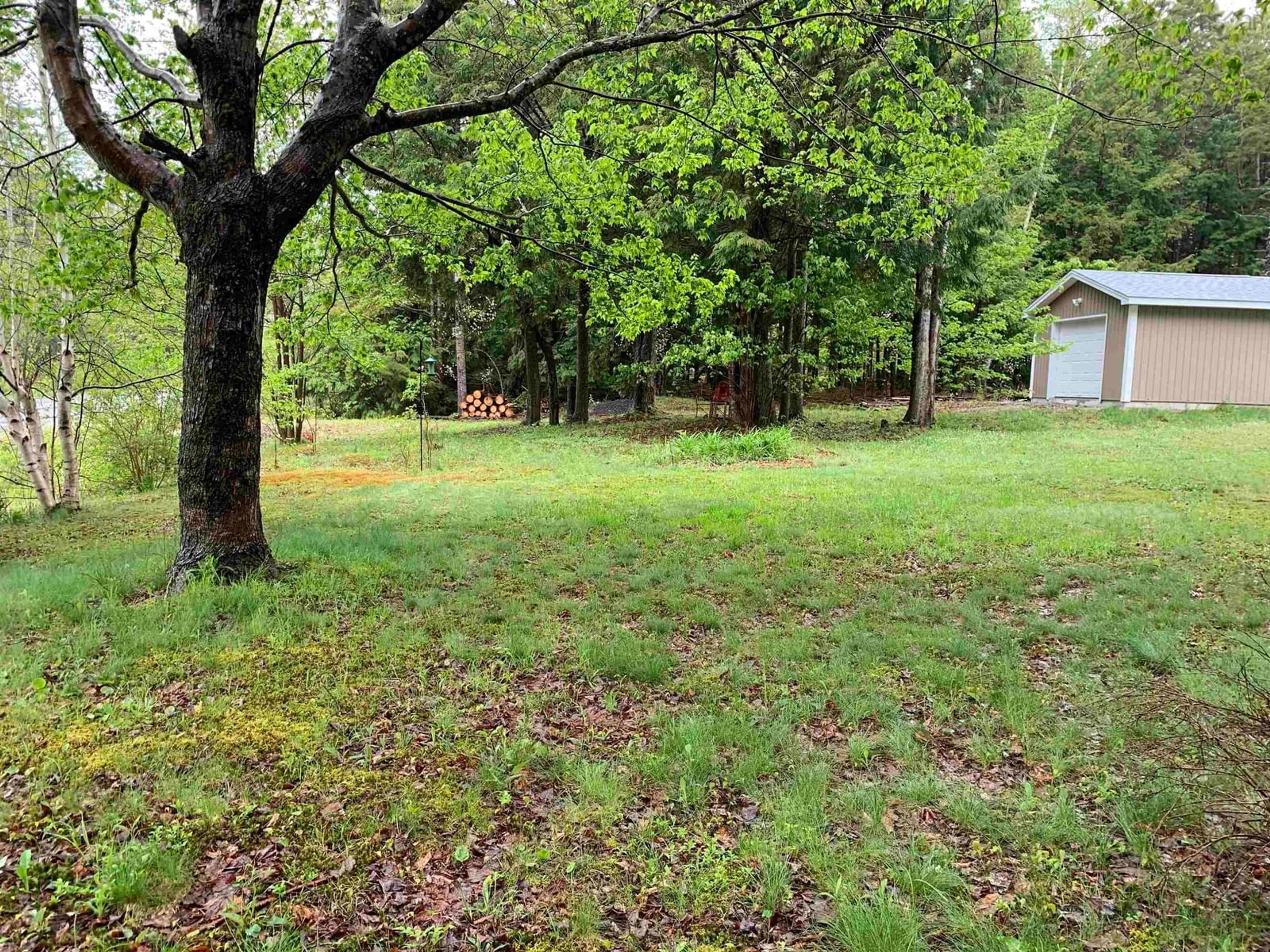 A pic from outside/outdoor area/front of a property/back of a property/a pic from drone, forest/trees view for 1452 Northfield Rd, Blockhouse Nova Scotia B0J 1E0