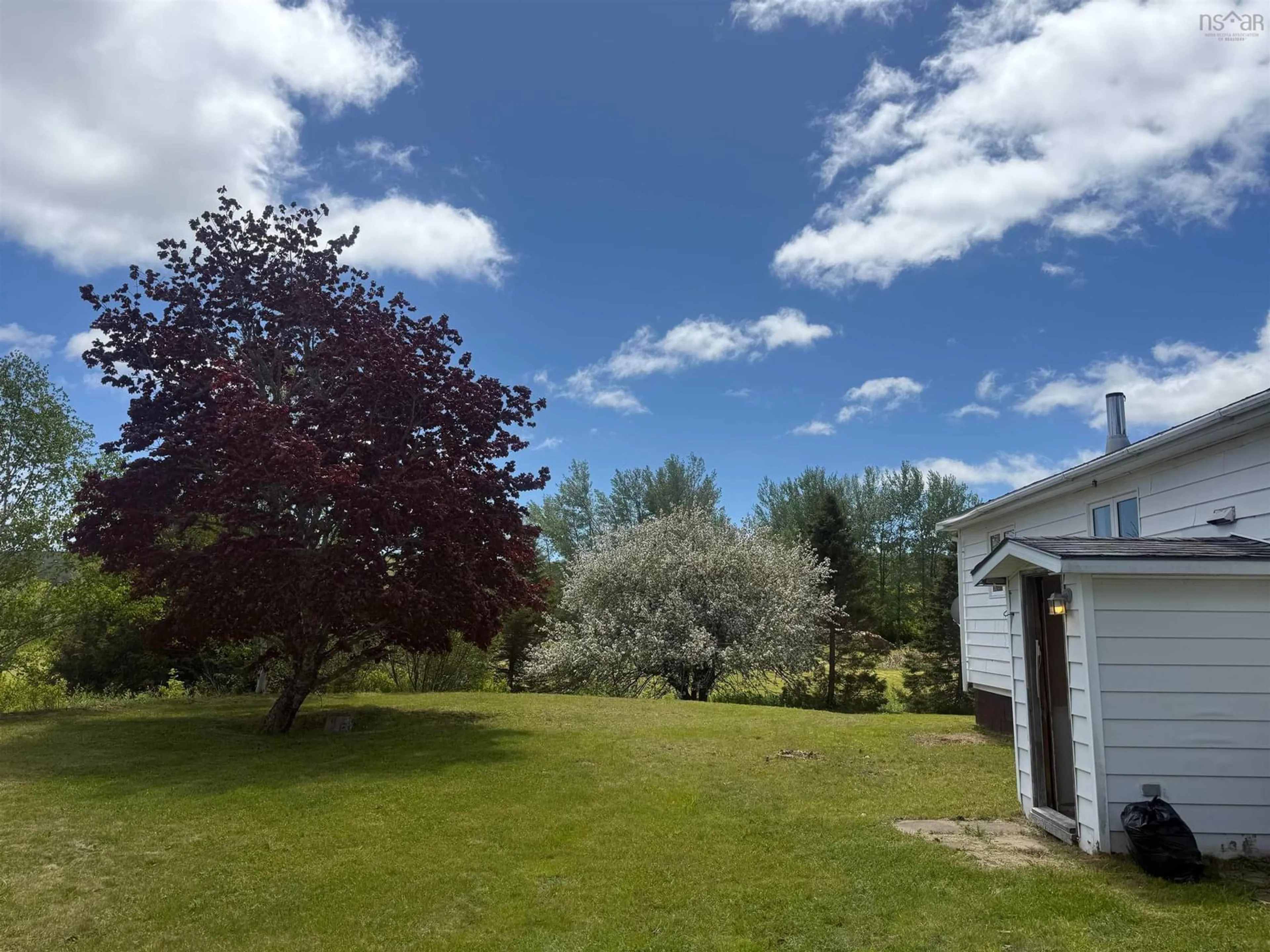 A pic from outside/outdoor area/front of a property/back of a property/a pic from drone, forest/trees view for 74 Glenelgh Church Rd, Glenelg Nova Scotia B0H 1E0