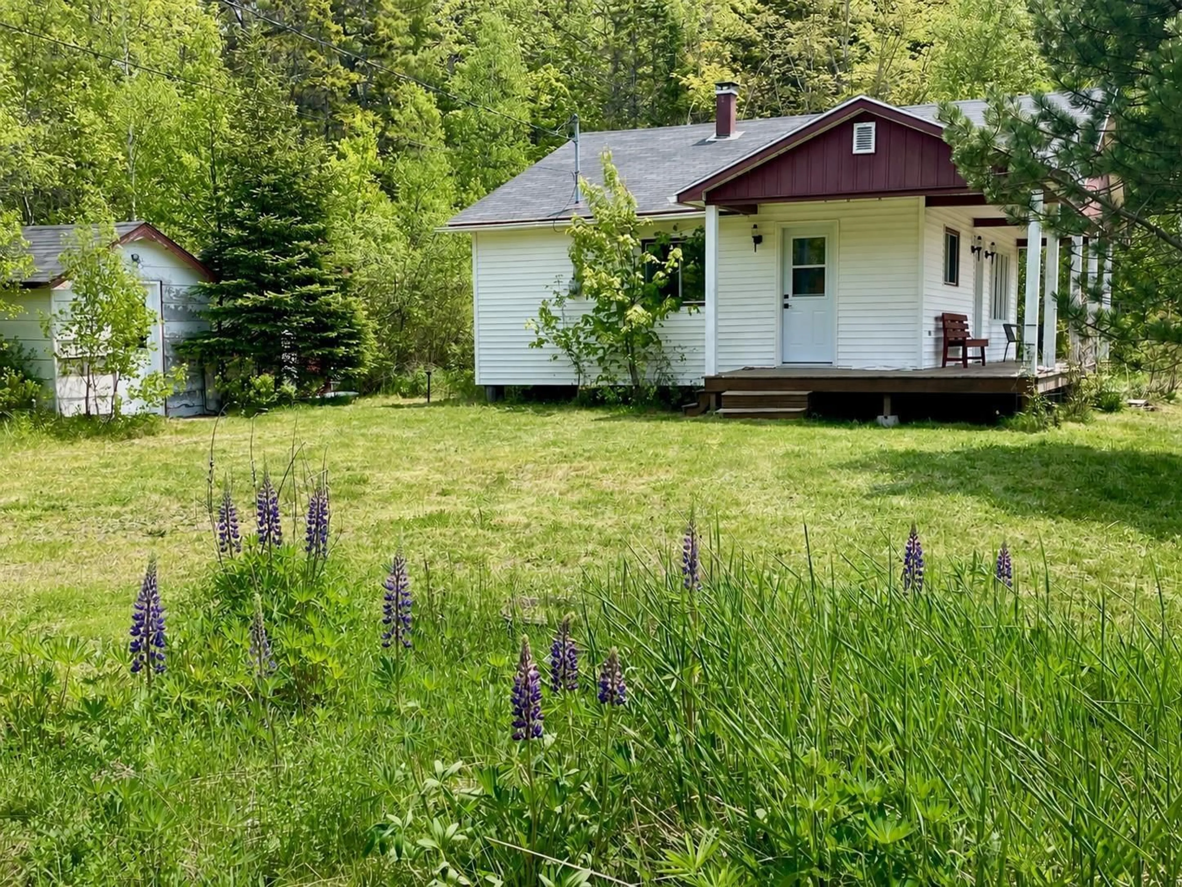 Shed for 720 Milbury Lake Rd, Youngs Cove Nova Scotia B3P 1Y9