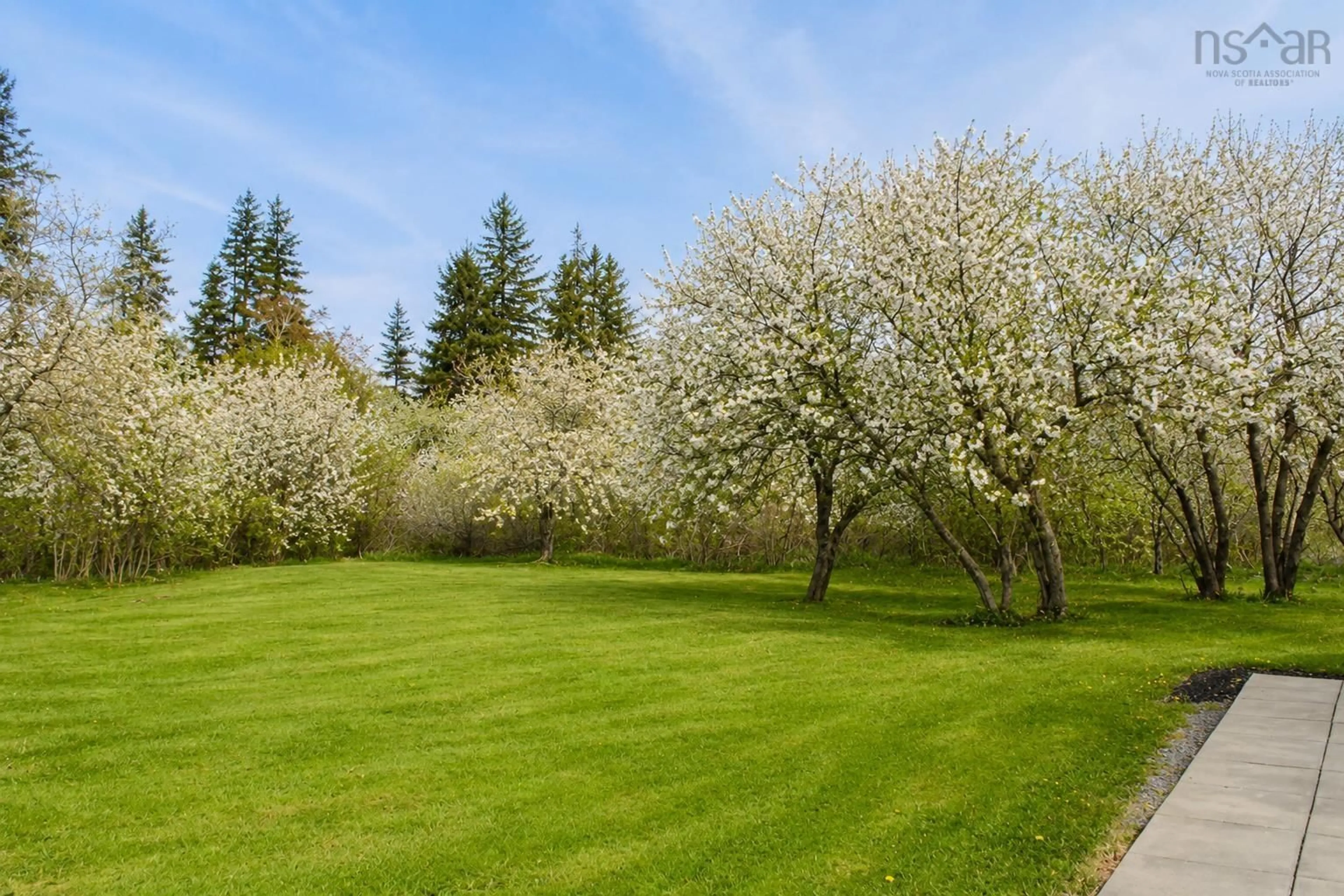 Patio, forest/trees view for 19203 Highway 19 #19, South West Margaree Nova Scotia B0E 3H0