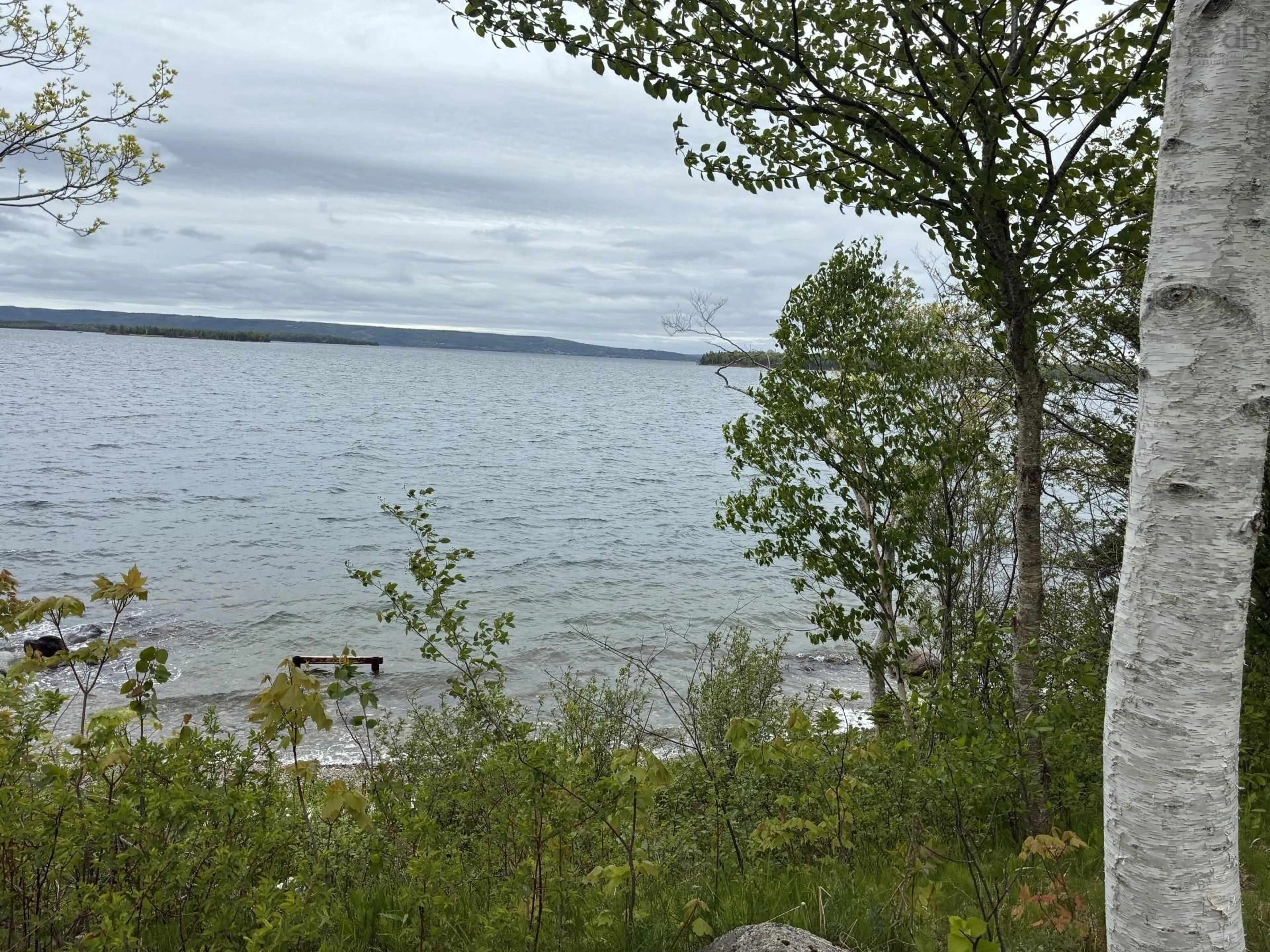 Unknown for 4030 Marble Mountain Rd, Lime Hill Nova Scotia B0E 3K0