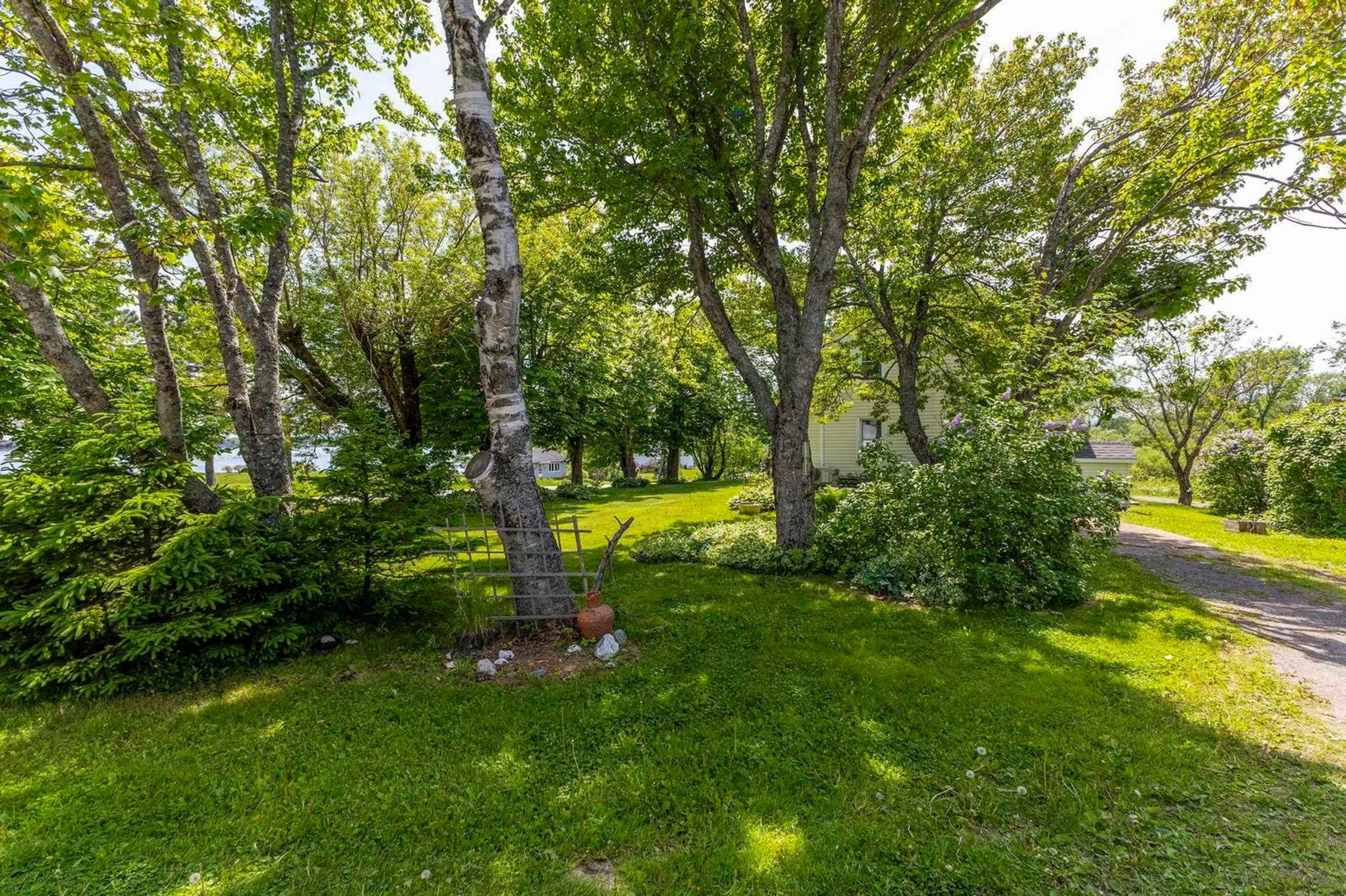 Patio, forest/trees view for 2763 Highway 376, Lyons Brook Nova Scotia B0K 1H0