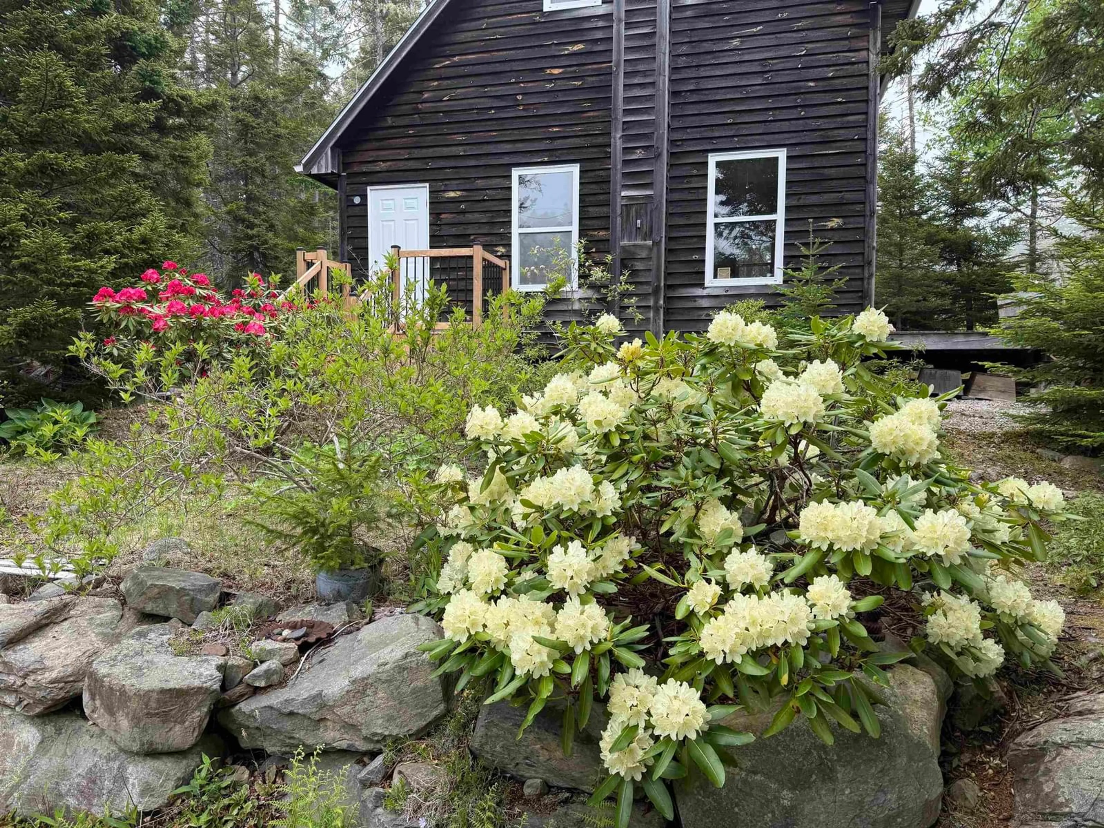 Unknown for 36 Saddle Island Rd, Bayswater Nova Scotia B0J 1T0