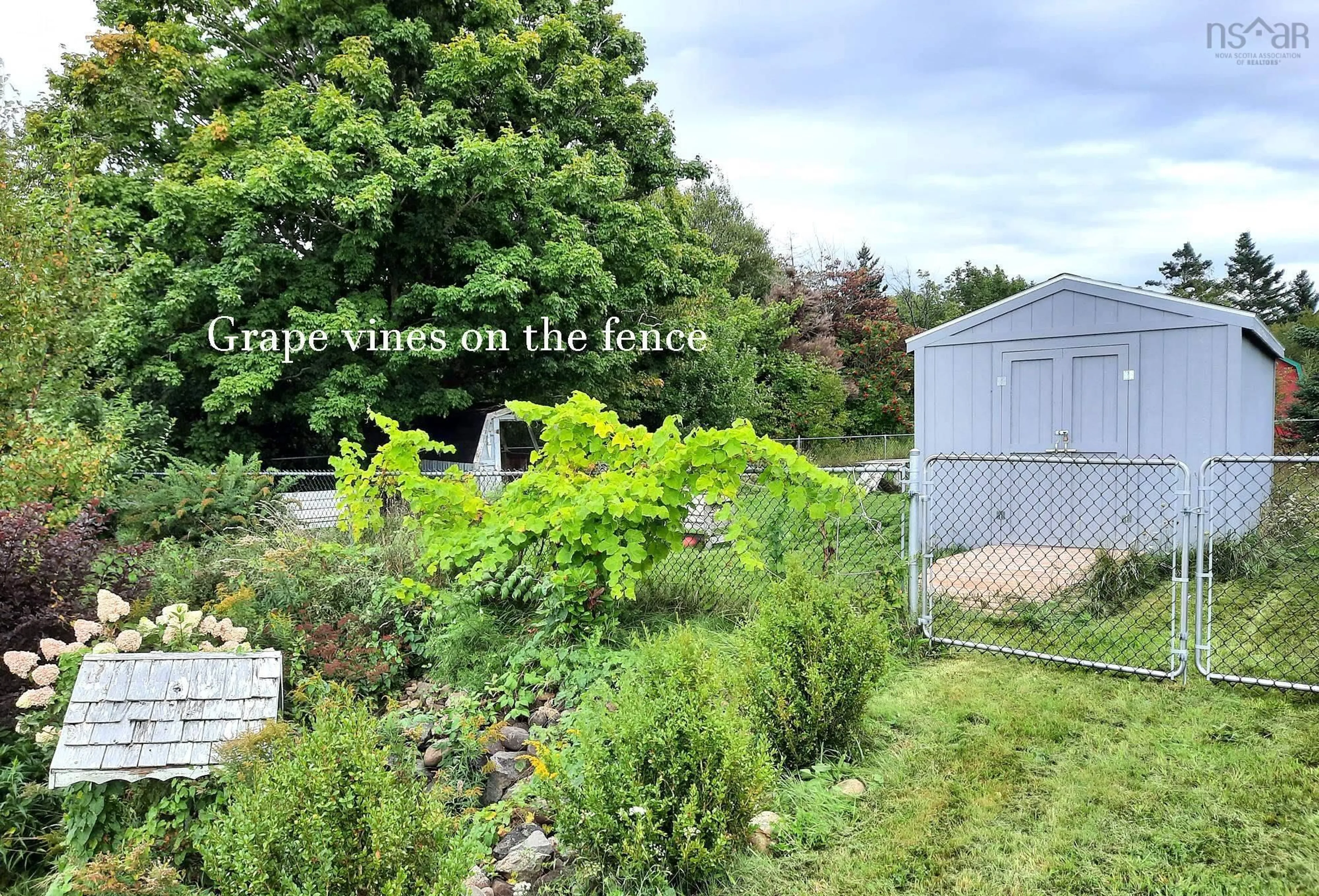 A pic from outside/outdoor area/front of a property/back of a property/a pic from drone, unknown for 5248 Shore Rd, Parkers Cove Nova Scotia B0S 1A0
