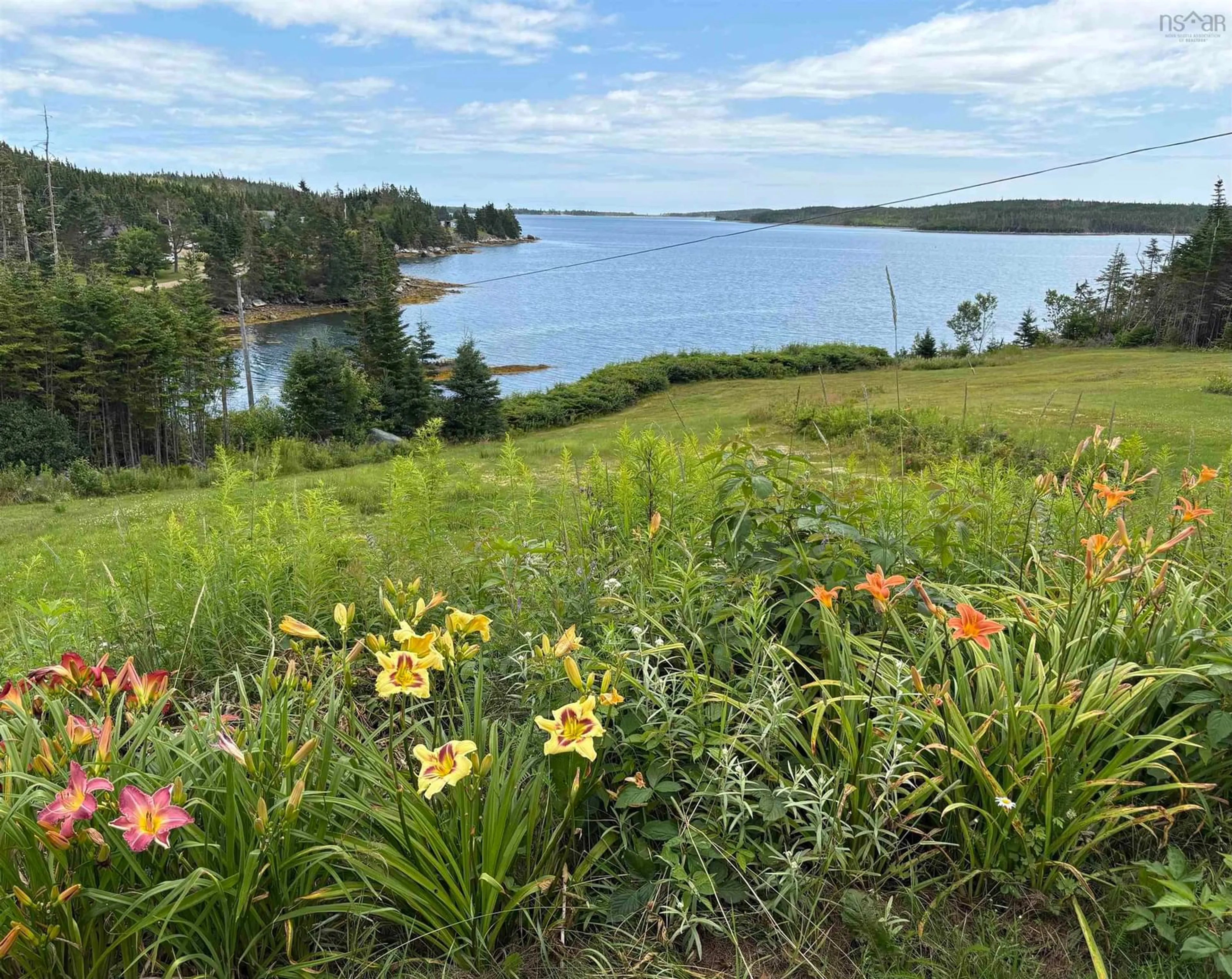 A pic from outside/outdoor area/front of a property/back of a property/a pic from drone, water/lake/river/ocean view for 5034 Highway 7, Liscomb Nova Scotia B0J 2A0