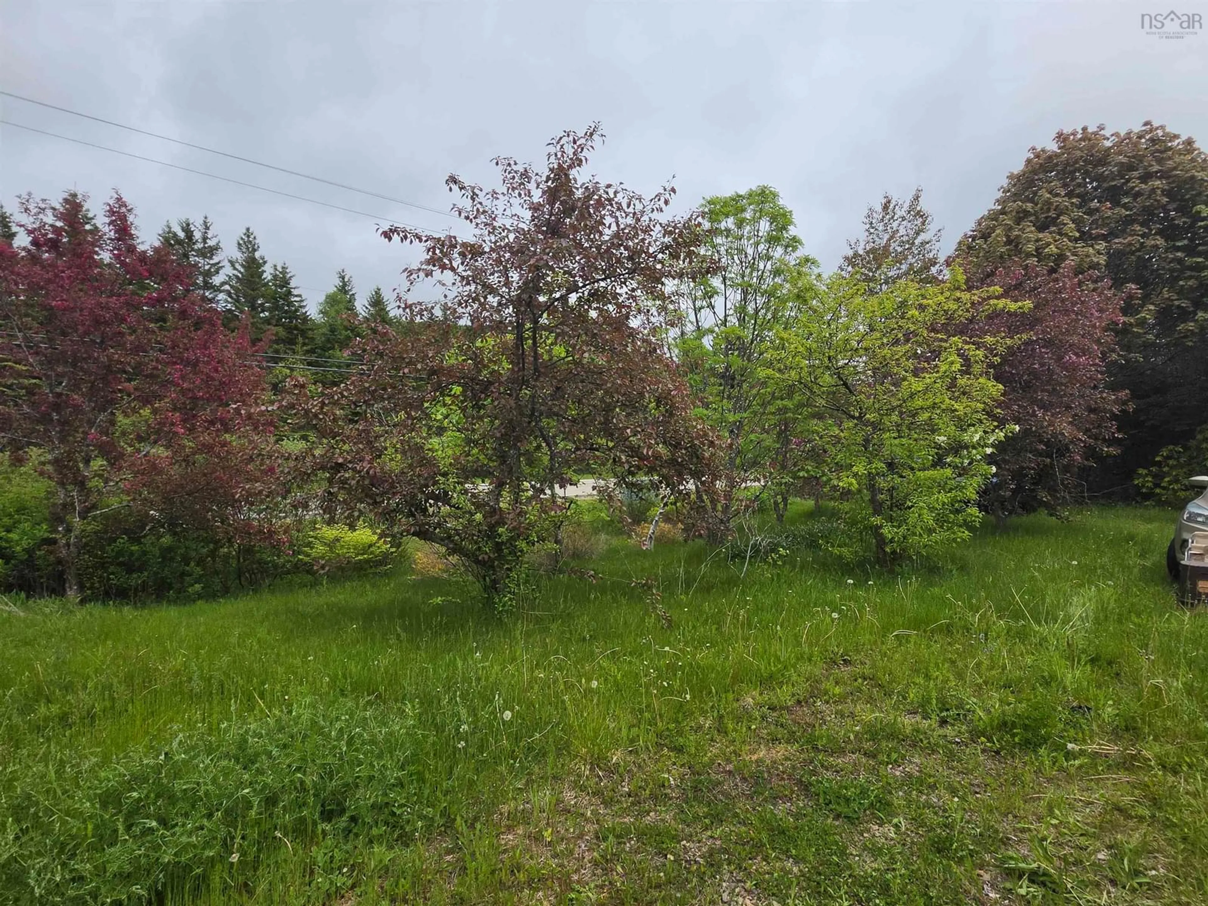 A pic from outside/outdoor area/front of a property/back of a property/a pic from drone, forest/trees view for 2037 Castle Bay Rd, Benacadie Nova Scotia B1T 1H3