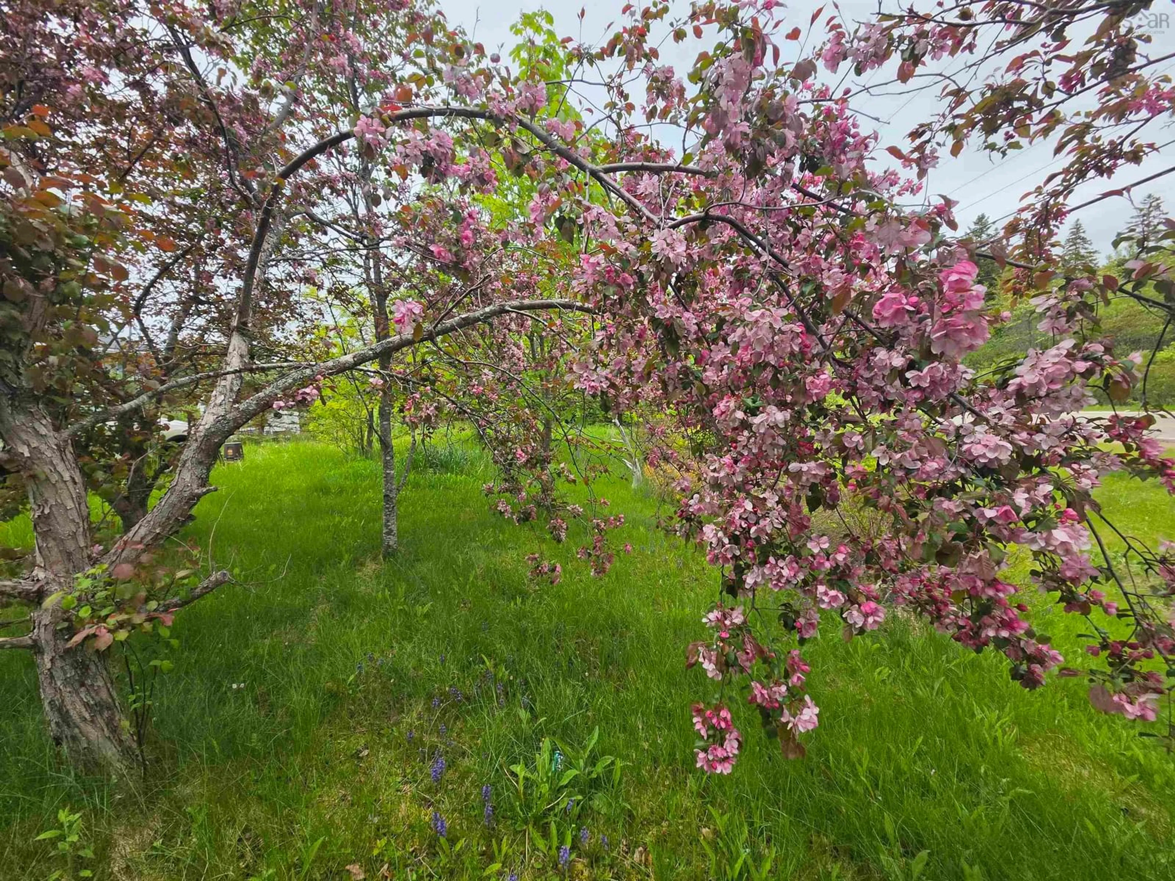 Blurry image for 2037 Castle Bay Rd, Benacadie Nova Scotia B1T 1H3