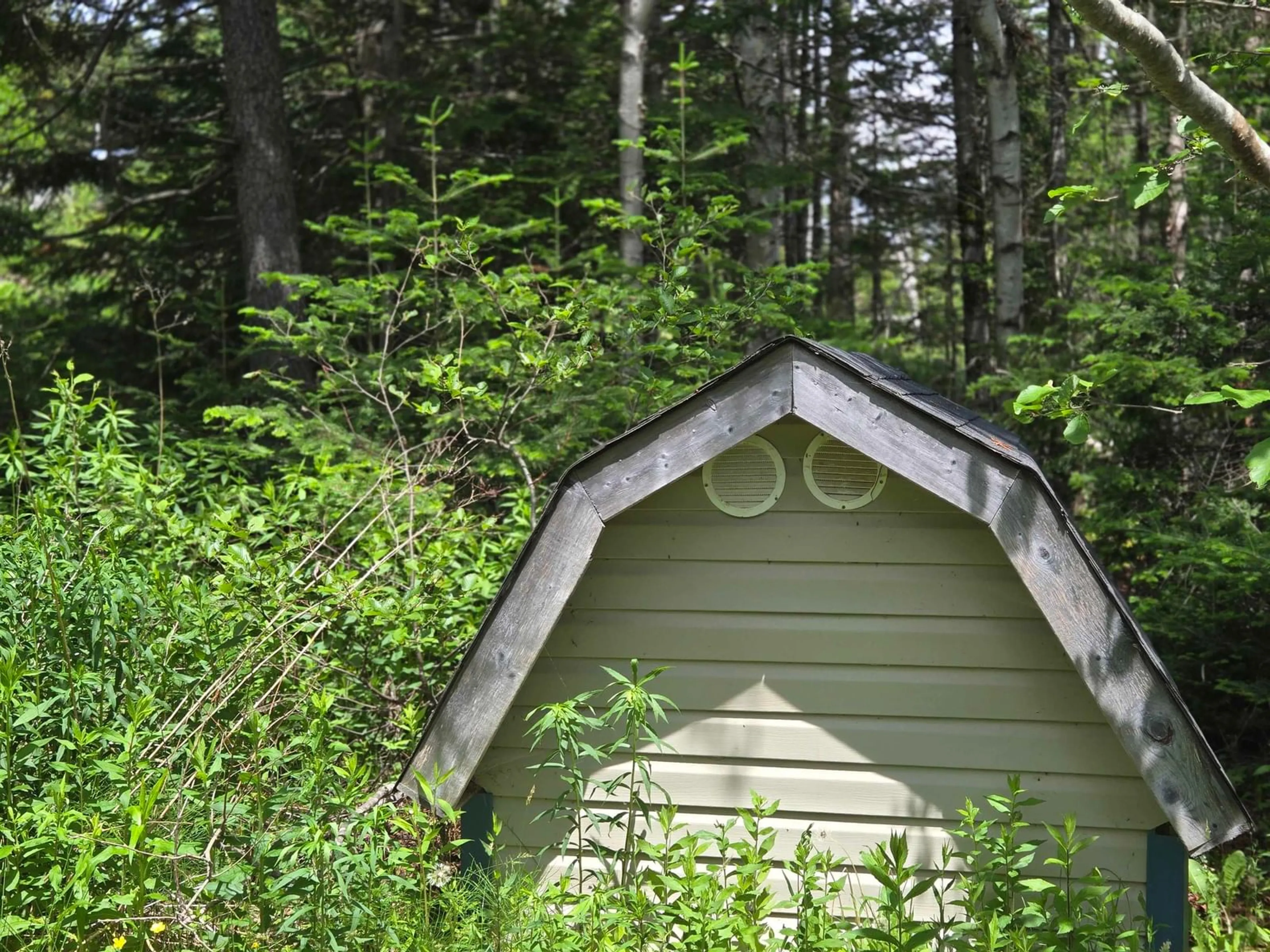 Shed for 214 New Brittain Rd, Five Islands Nova Scotia B0M 1J0