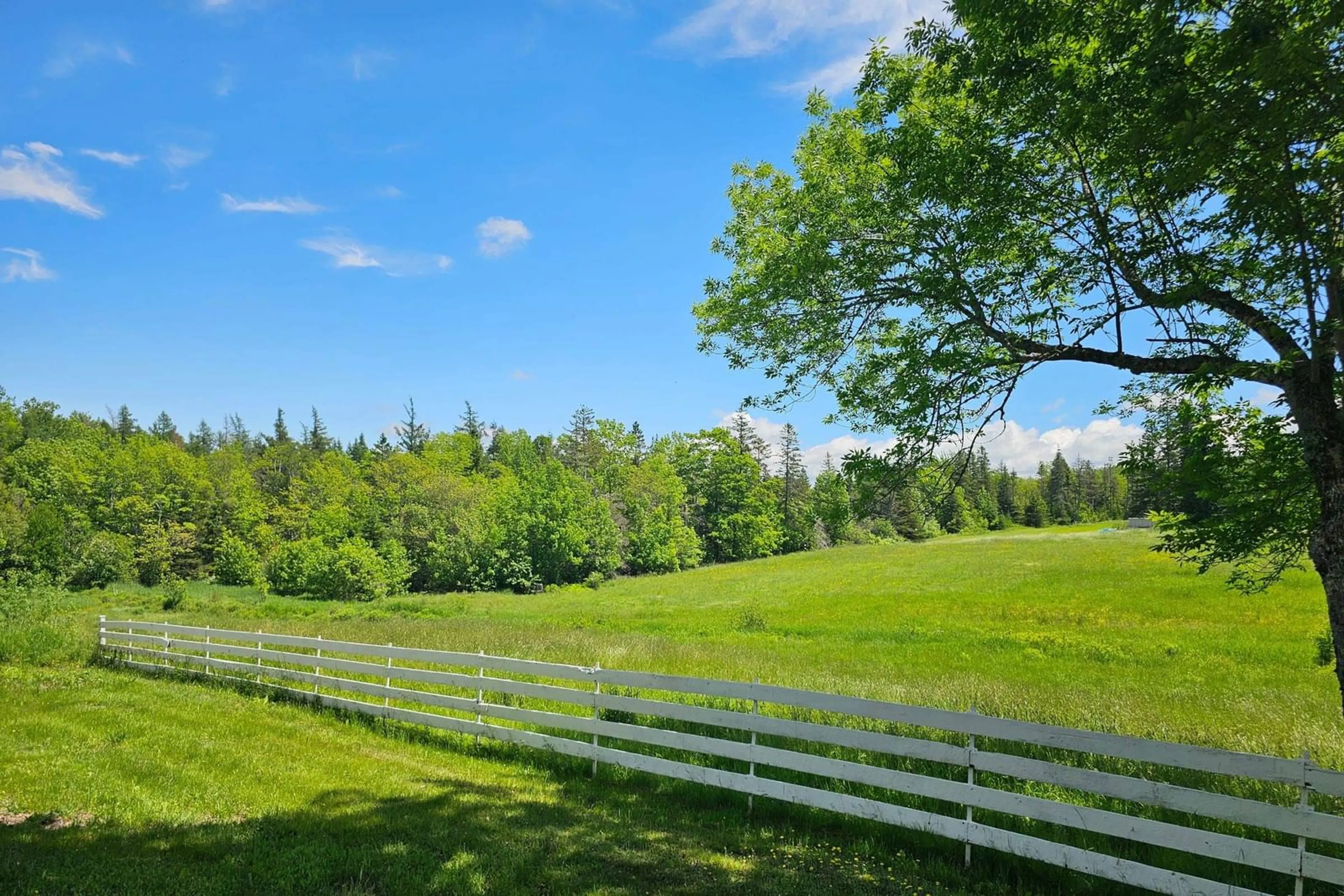 A pic from outside/outdoor area/front of a property/back of a property/a pic from drone, forest/trees view for 2008 Mount Hanley Rd, Mount Hanley Nova Scotia B0S 1P0
