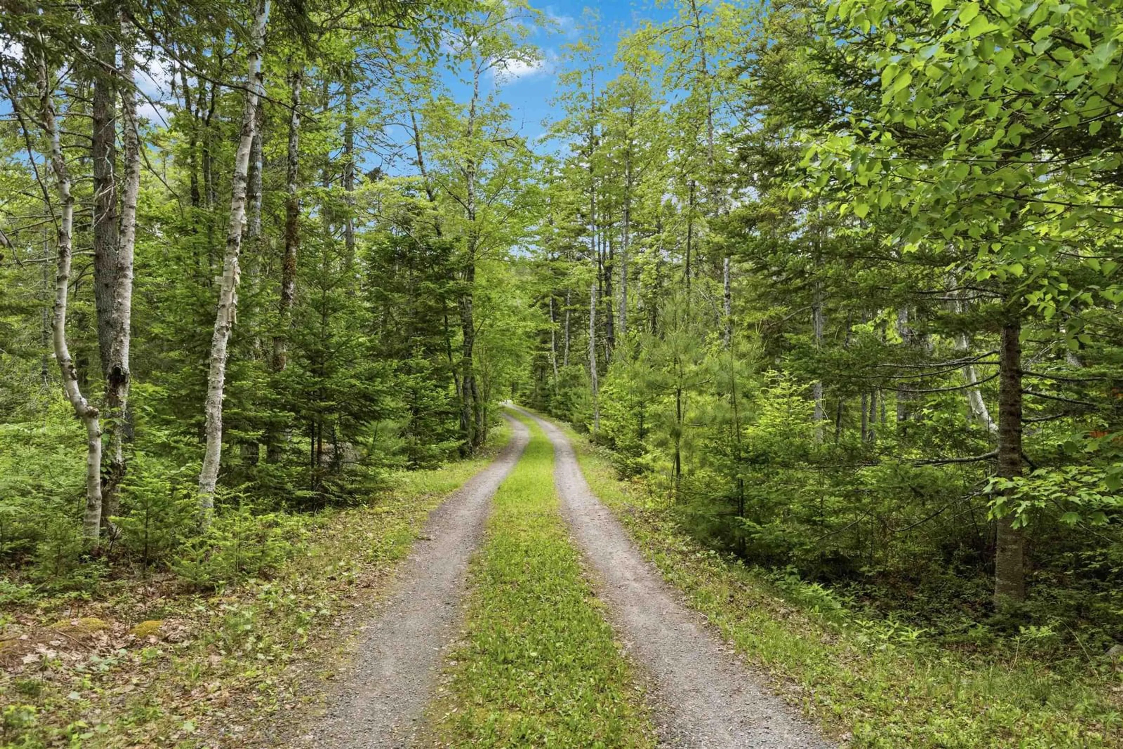 Unknown for 50 Five Island Brook Rd, Vaughan Nova Scotia B0N 2T0
