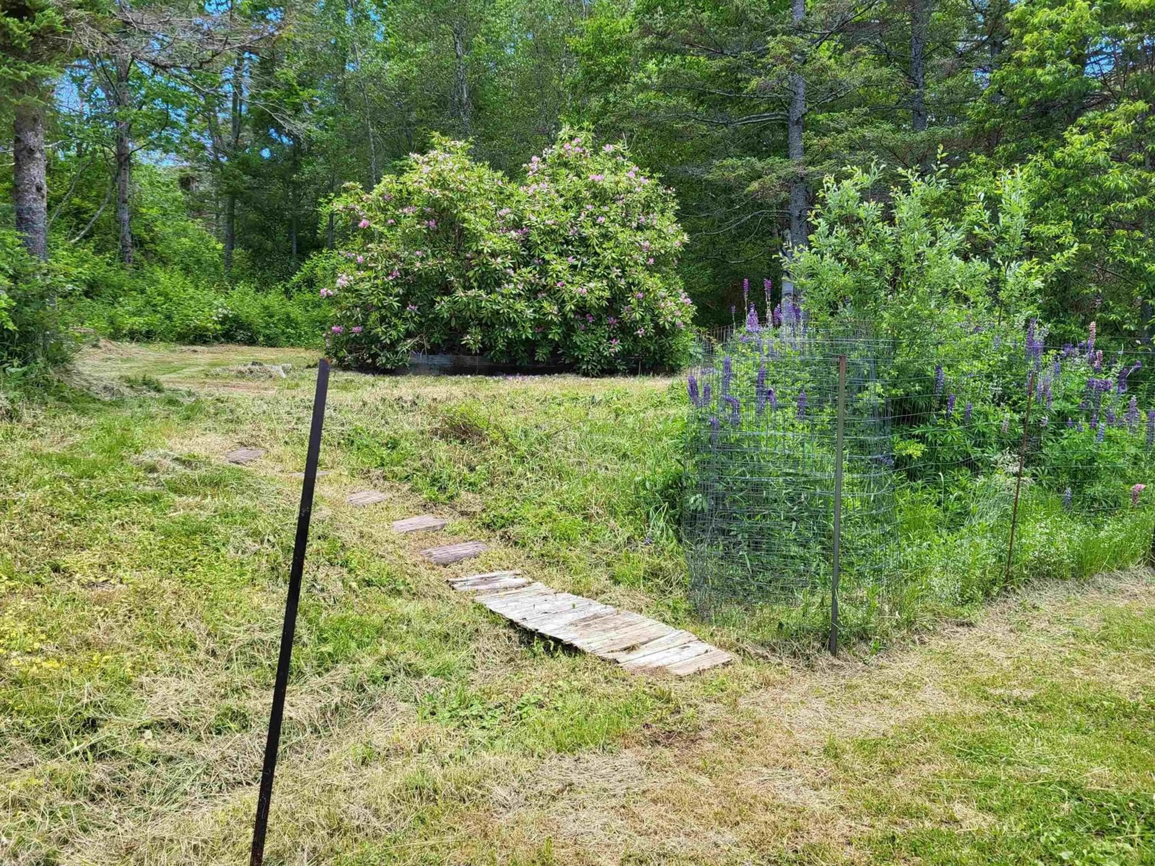 Unknown for 519 Inglewood Rd, Beaconsfield Nova Scotia B0S 1C0