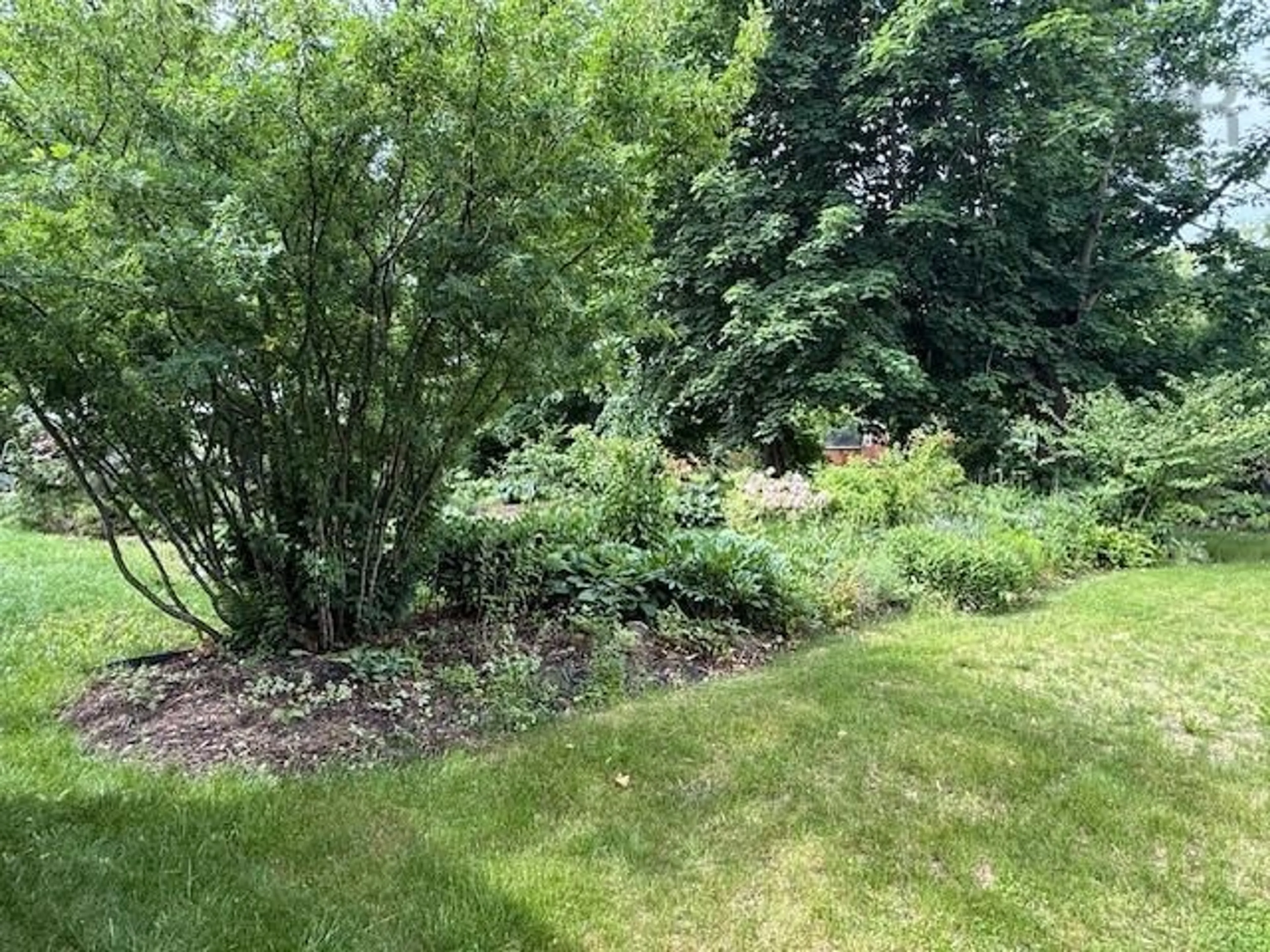 A pic from outside/outdoor area/front of a property/back of a property/a pic from drone, forest/trees view for 9682 Highway 221, Canning Nova Scotia B0P 1H0