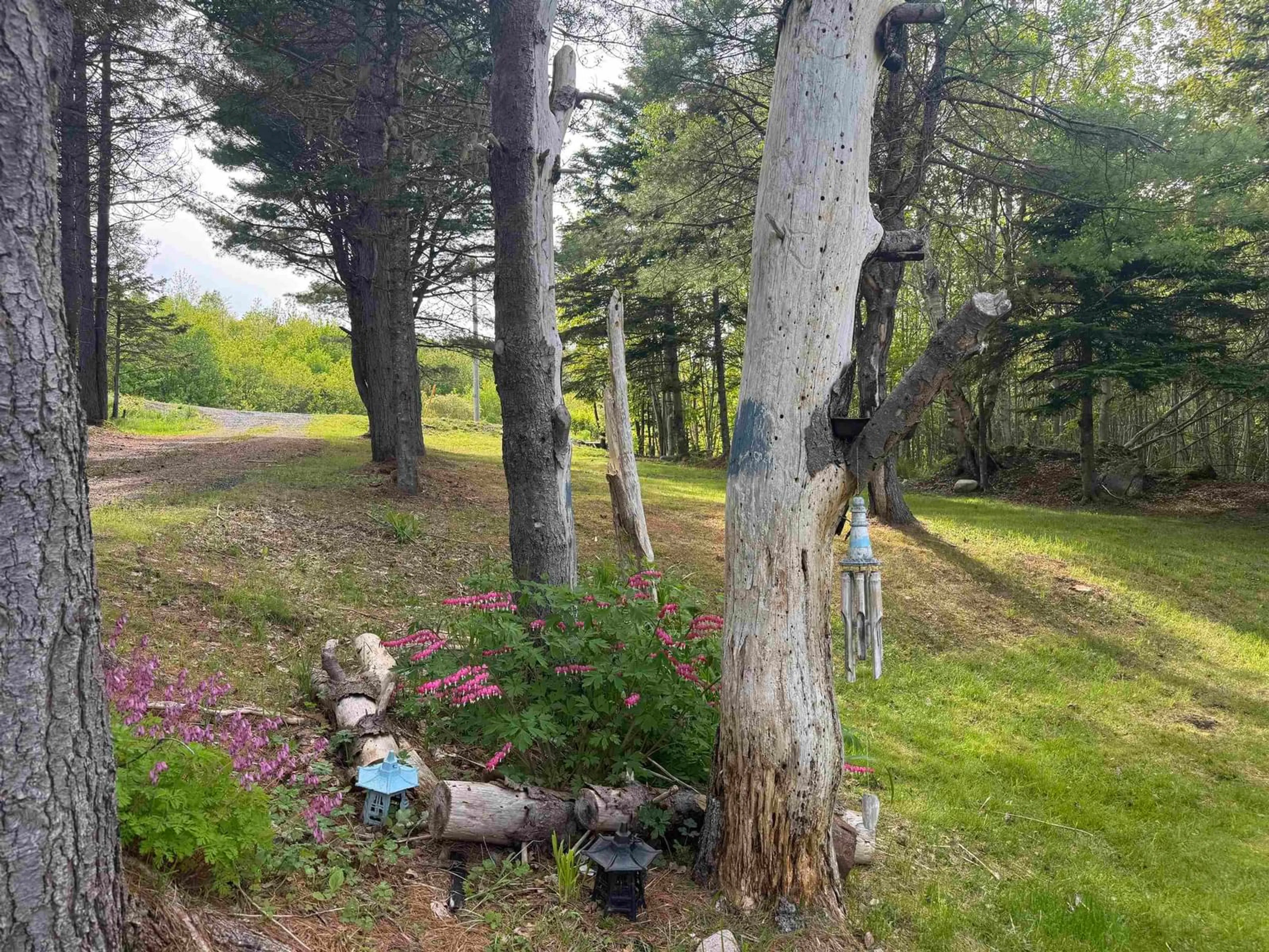 A pic from outside/outdoor area/front of a property/back of a property/a pic from drone, forest/trees view for 15 Bayview Lane, St. Anns Nova Scotia B0E 1B0