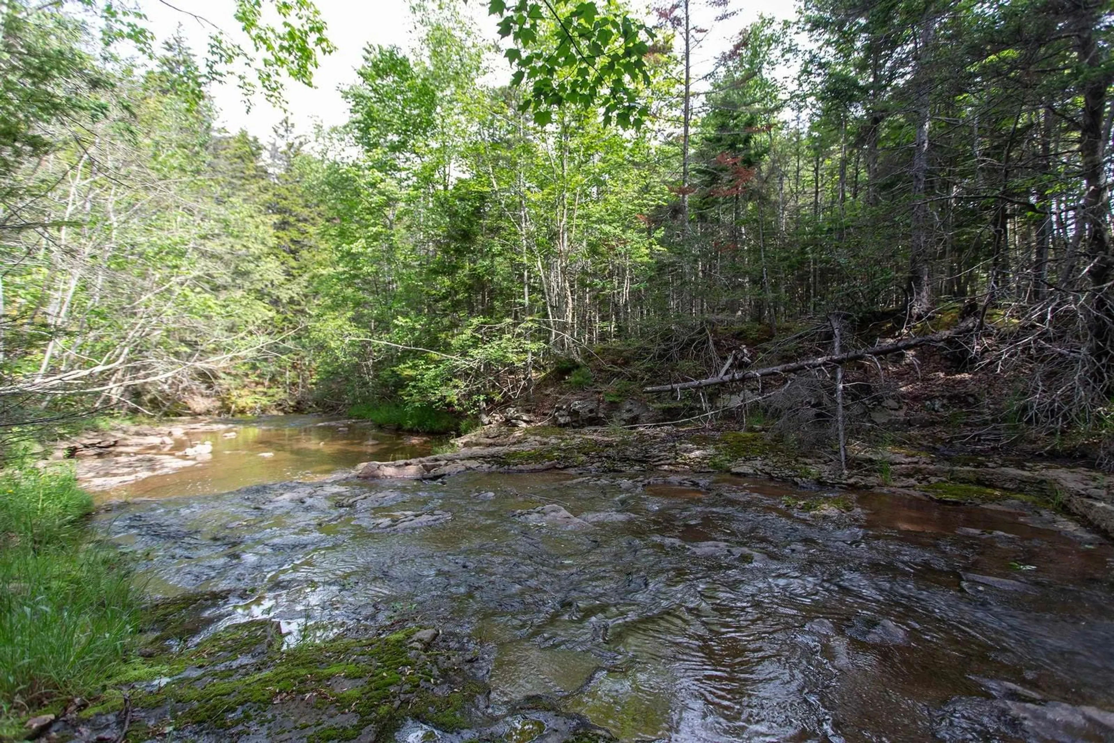 Unknown for 11085 Shore Rd, Outram Nova Scotia B0S 1P0