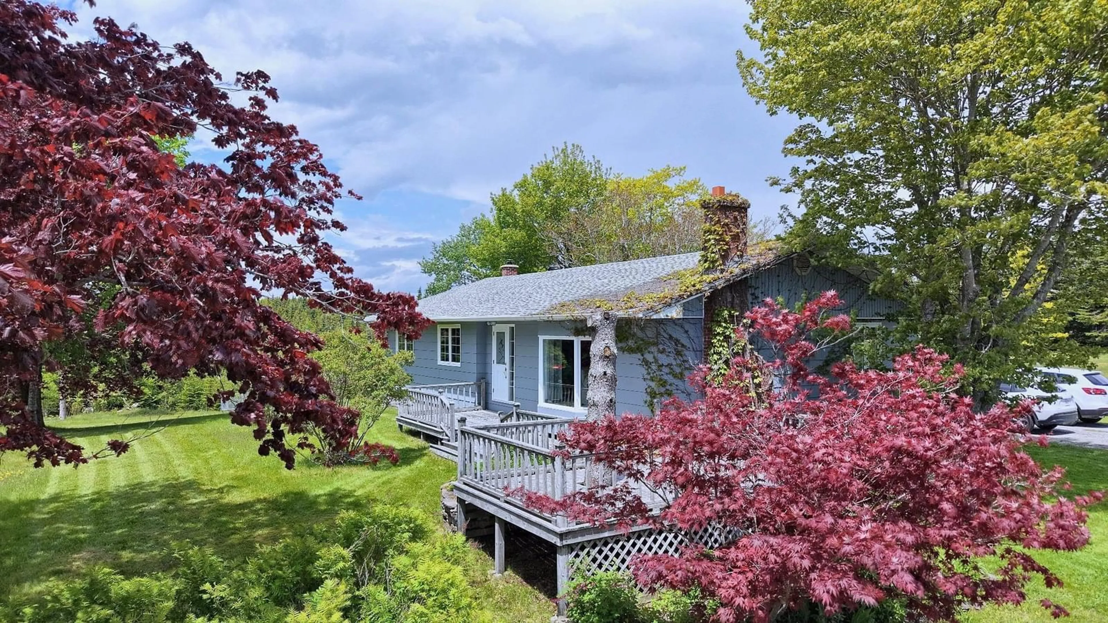 A pic from outside/outdoor area/front of a property/back of a property/a pic from drone, water/lake/river/ocean view for 659 Highway 247, Grande Greve Nova Scotia B0E 3B0