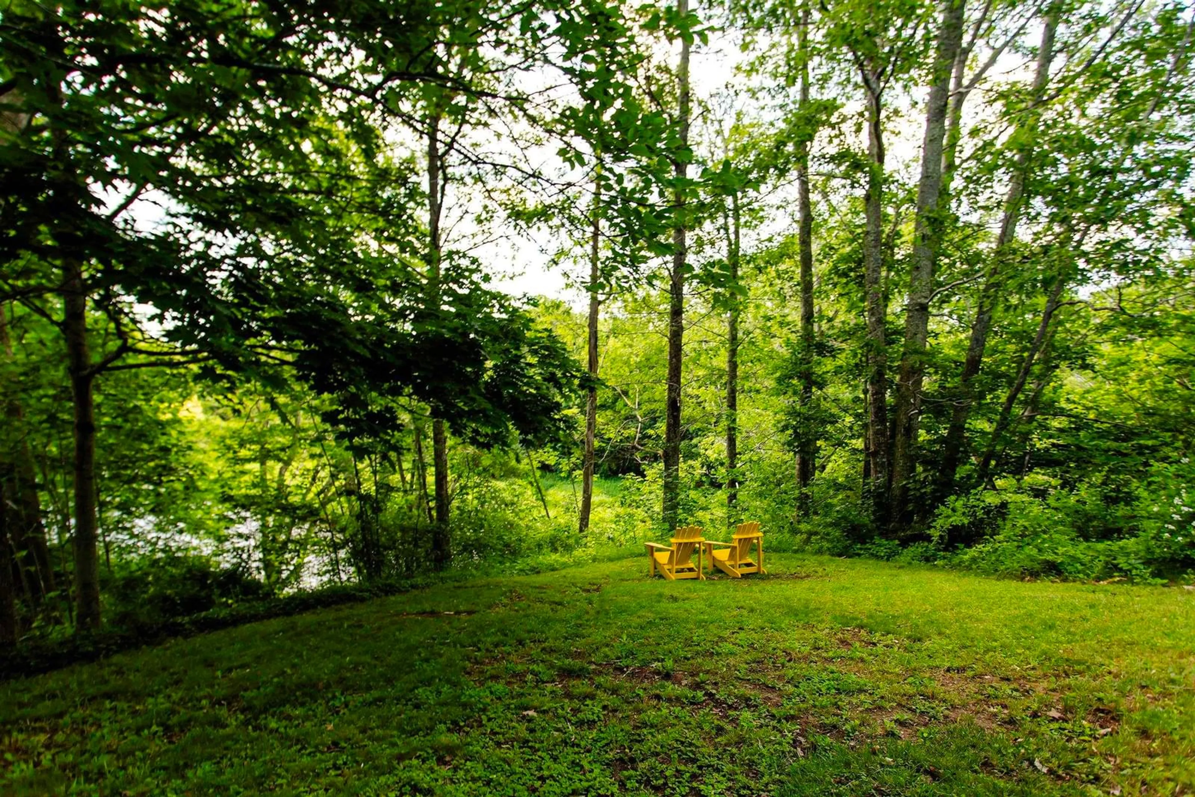Patio, forest/trees view for 540 Main St, Lawrencetown Nova Scotia B0S 1M0