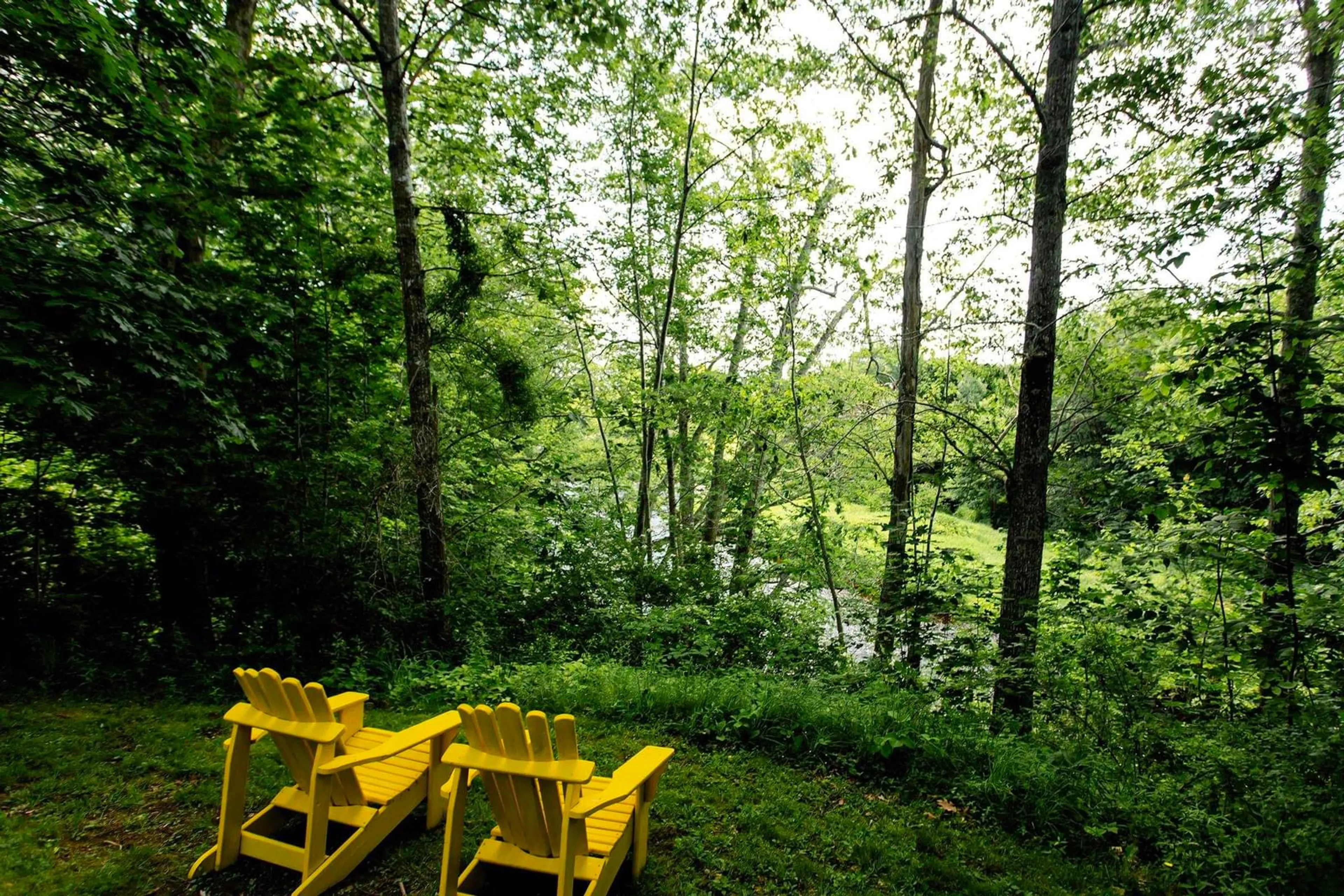 Patio, forest/trees view for 540 Main St, Lawrencetown Nova Scotia B0S 1M0