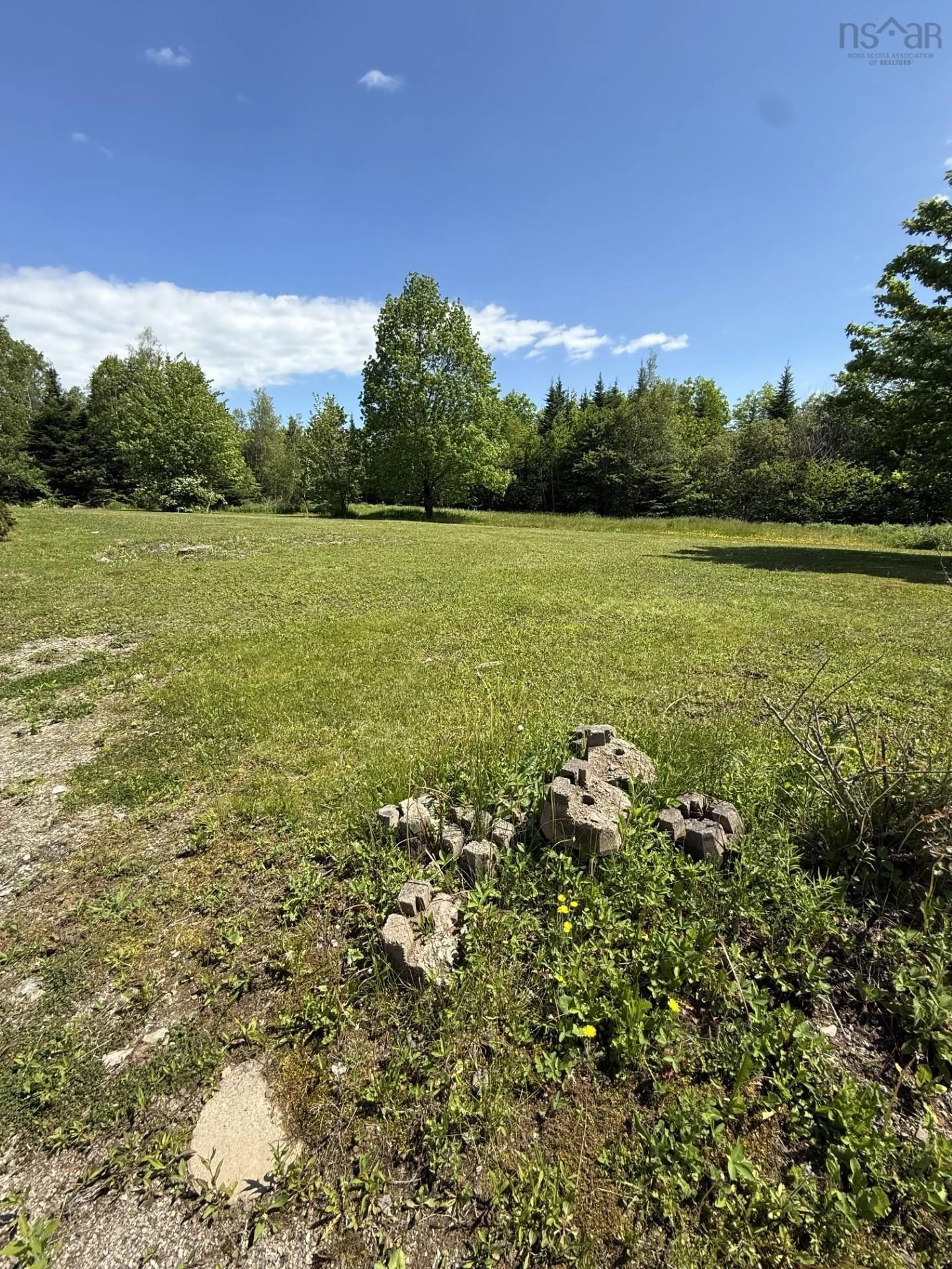 A pic from outside/outdoor area/front of a property/back of a property/a pic from drone, forest/trees view for 14 Triton Brook Road, Fairmont Nova Scotia B2G 2K9
