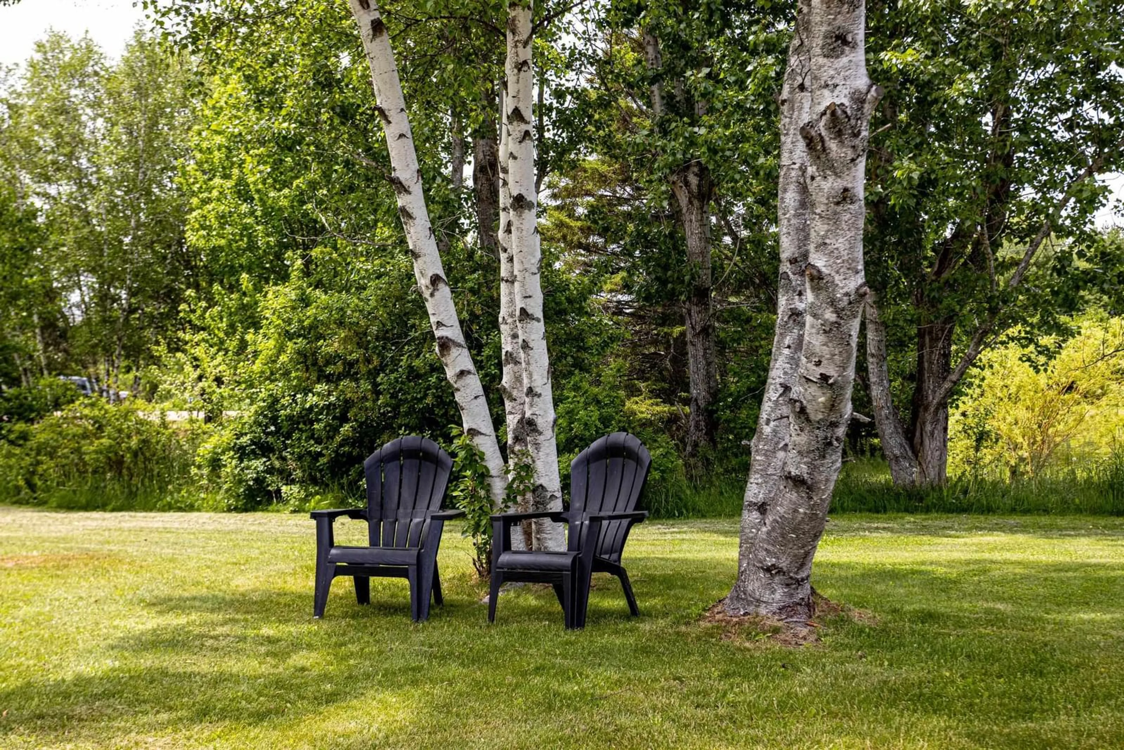 Patio, forest/trees view for 1035 Highway 6 Hwy, Bayhead Nova Scotia B0K 1V0